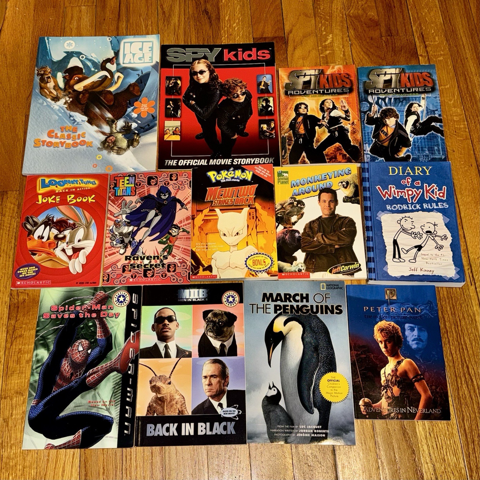 2000s TV & Movie Books Bundle – Lot of 13, Pokémon, Teen Titans, Spider-Man