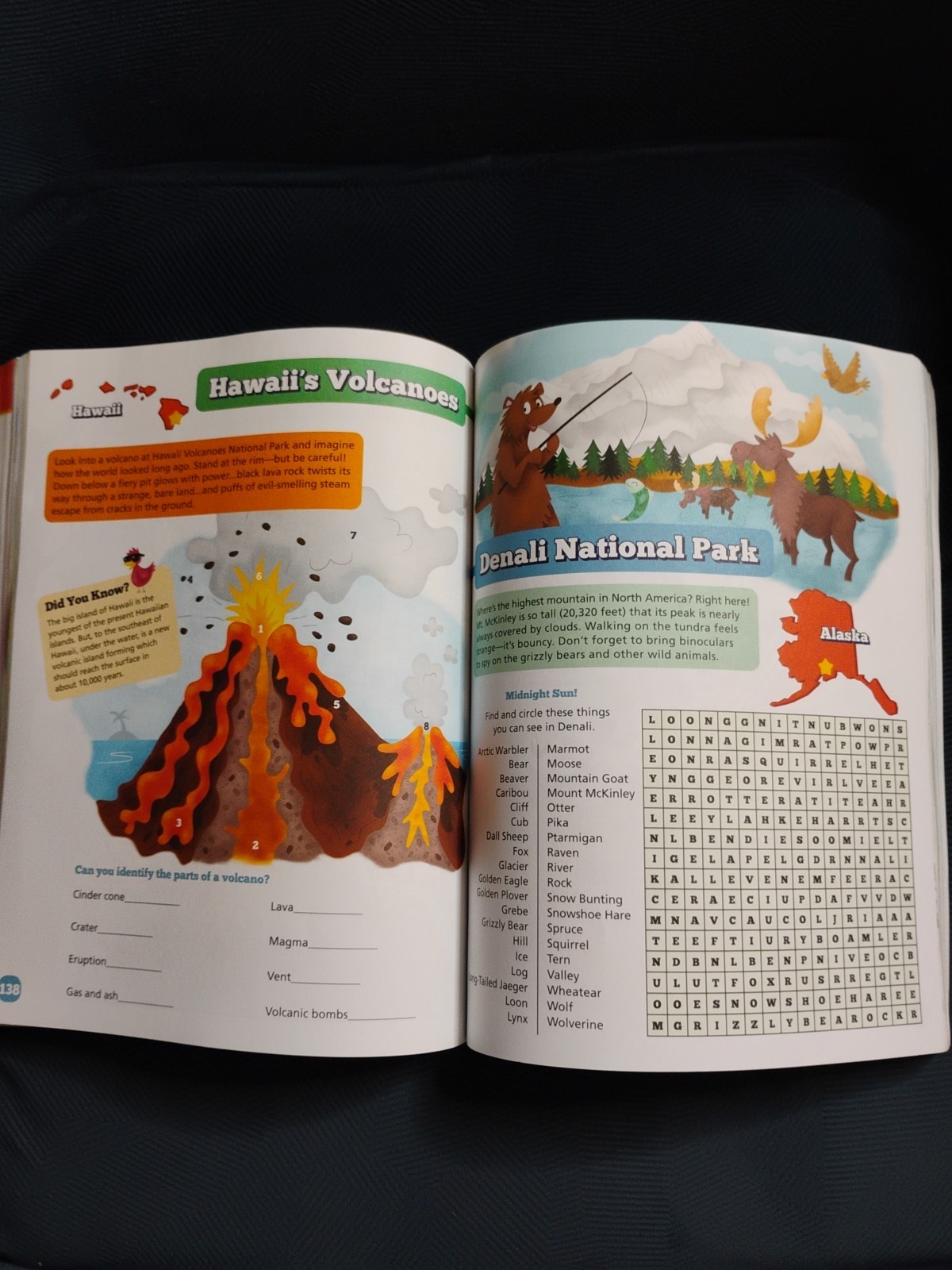 THE ULTIMATE BACKSEAT BOOK (2016) Hours of fun for kids on the road! 200+ Pages
