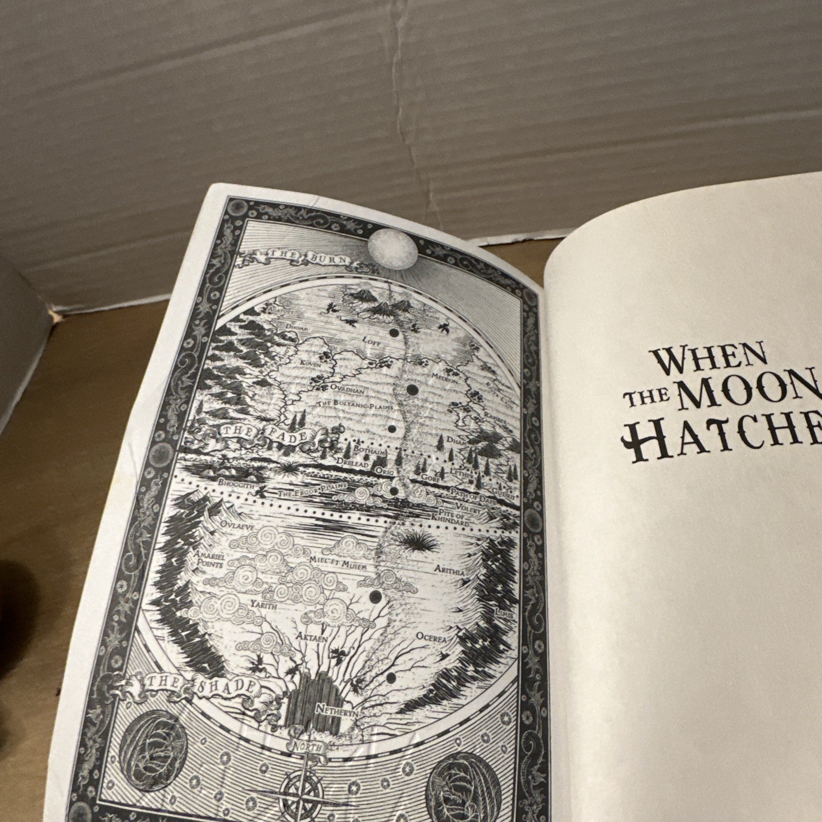 When the Moon Hatched Paperback by Sarah A. Parker (2024) Fantasy Romance