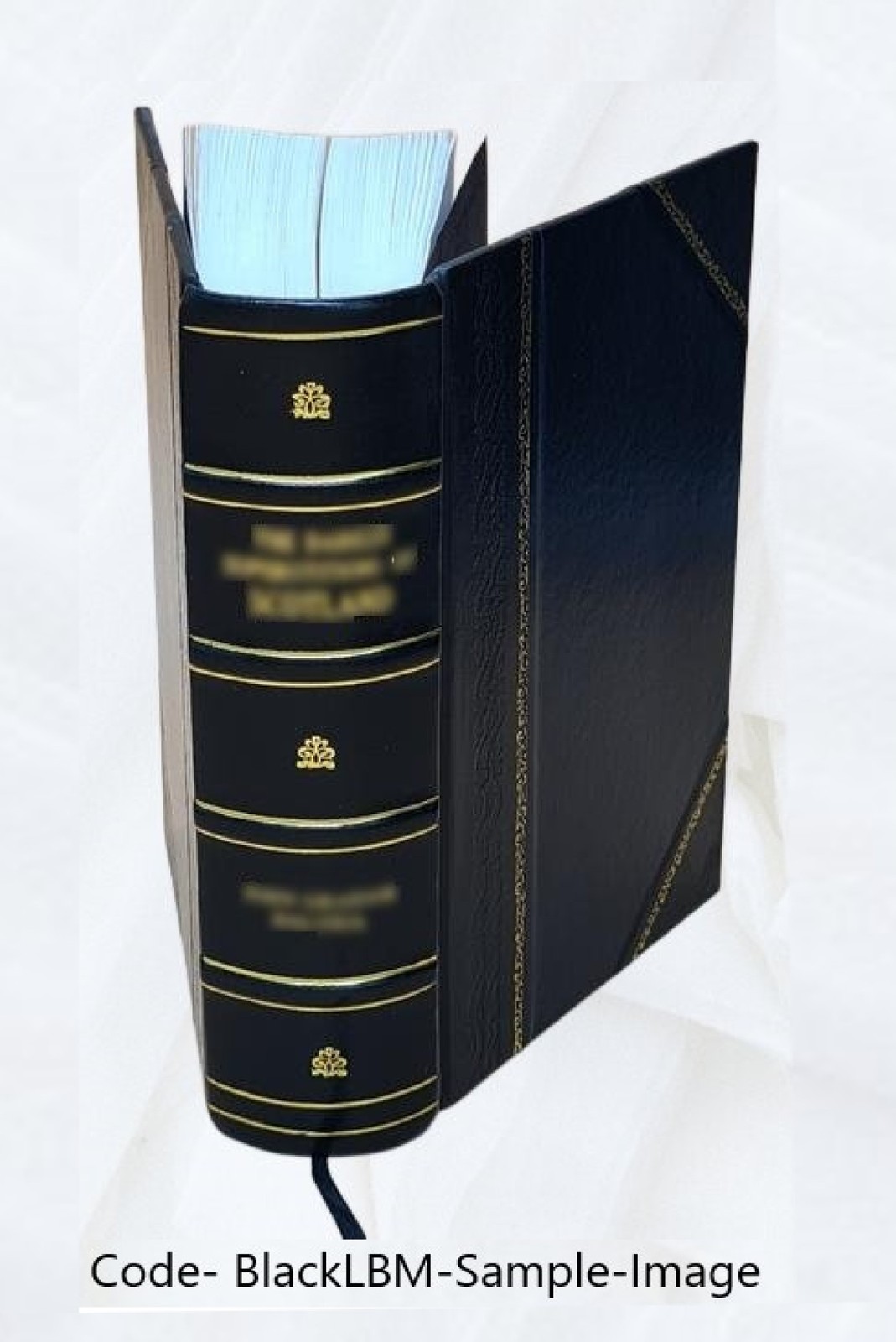 Black’s Law Dictionary 1st Edition 1891 1891 by HENRY CAMPBELL B [Leather Bound]