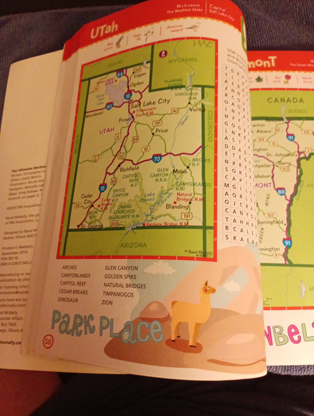 THE ULTIMATE BACKSEAT BOOK Hours of fun for kids on the road! 200+ Pages Travel