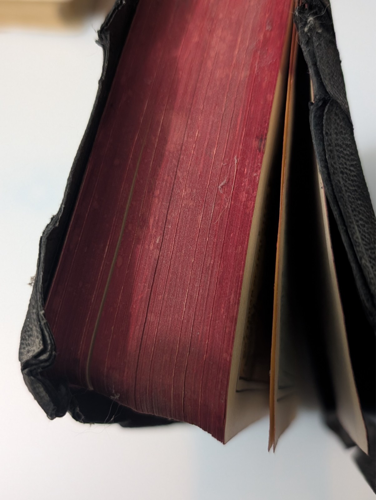 Vintage Holy Bible Illustrated With the Words of Christ Printed in Red (1940’s)
