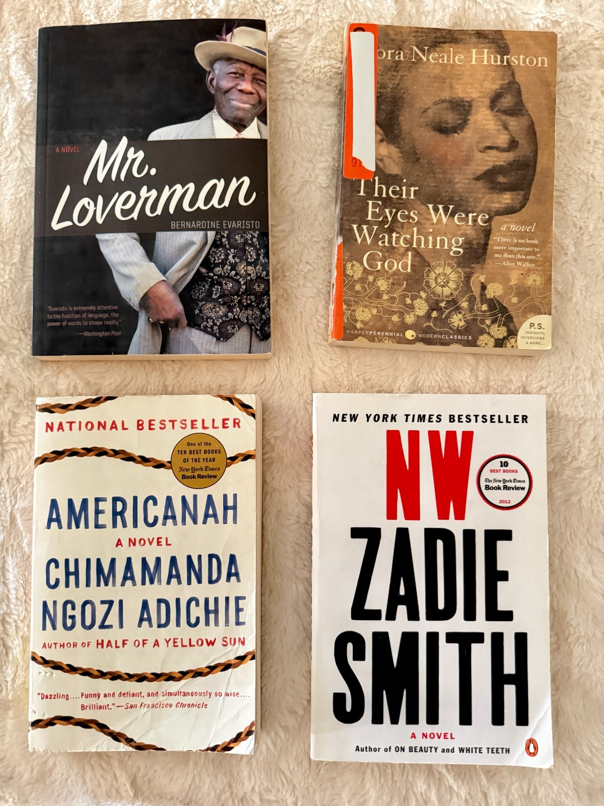 Postcolonial World Literature Book Lot Achebe Said Fanon Adichie 18 Books