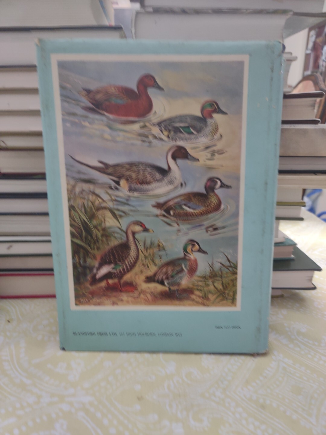 ENCYCLOPAEDIA OF AVICULTURE, (V. 1) By Abram Rutgers & K A Norris – Hardcover