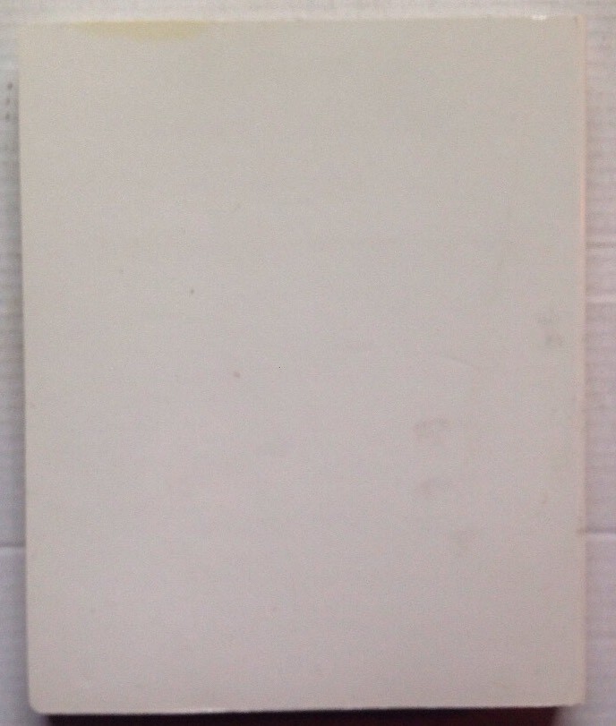 1999 STEVENSVILLE AMERICAN LEGION POST 568 COOKBOOK, STEVENSVILLE, MI, 317 PAGES