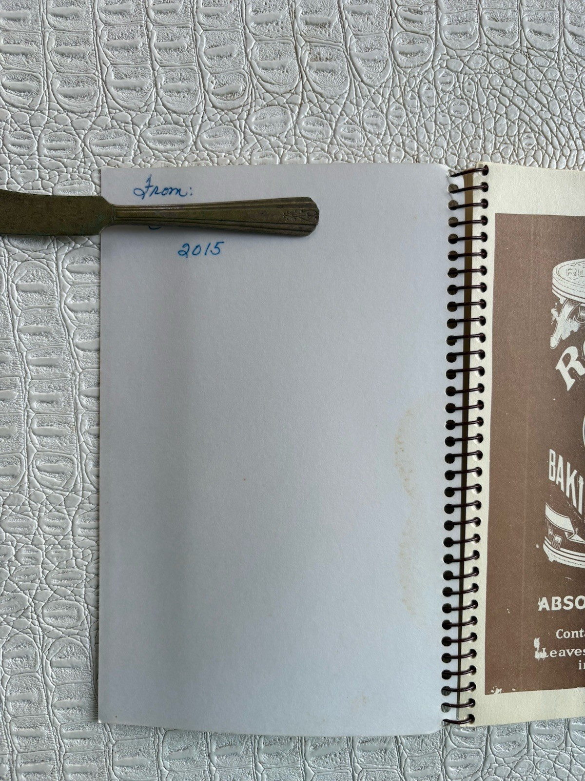 VTG Ashantilly Cookbook Darien Georgia Wire Spiral Bound Haynes Family 200 Pages