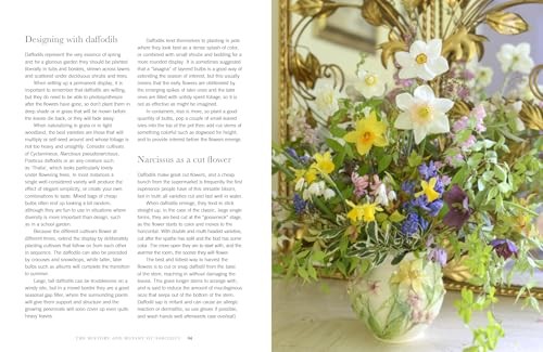 Daffodils: Beautiful Varieties for Home and Garden (Flowers), Slade, Naomi, Exce