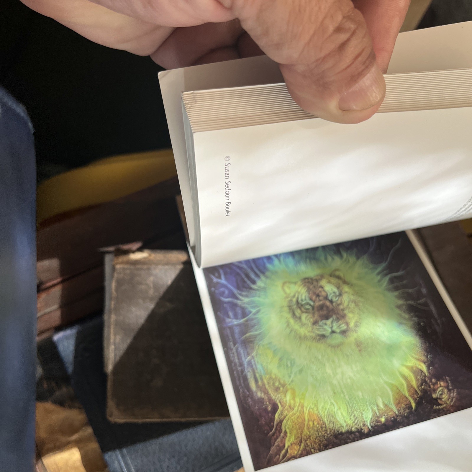 A SUSAN SEDDON BOULET BESTIARY: A BOOK OF POSTCARDS