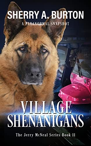 Village Shenanigans: Book 11 in the Jerry McNeal series (A Paranormal Snapsh…