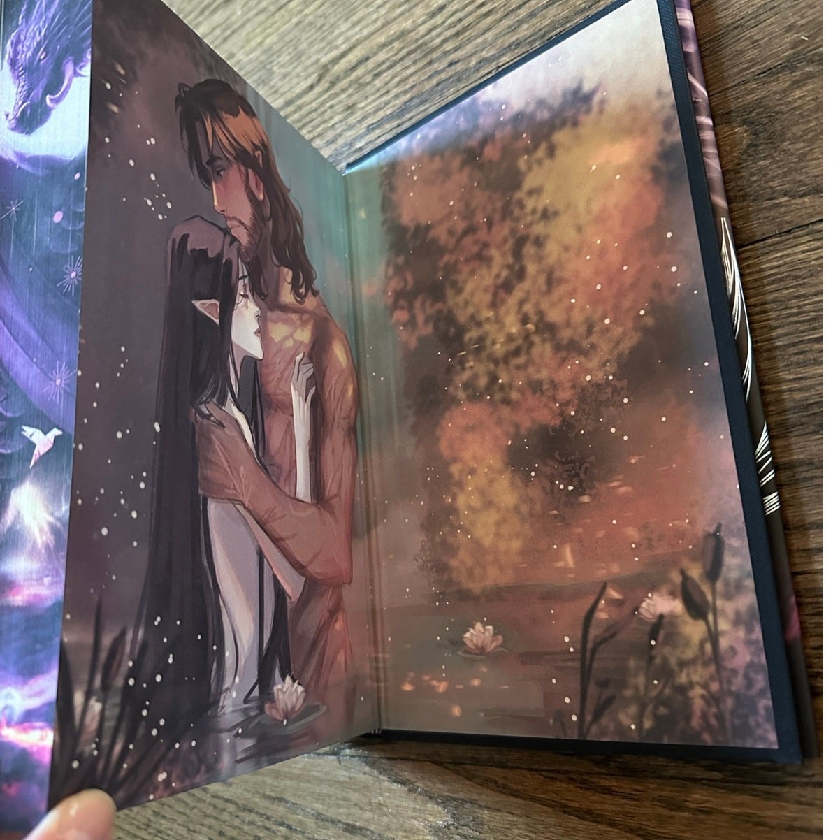 The Locked Library SE The Ballad Of Falling Dragons Sarah. A Parker Hardcover