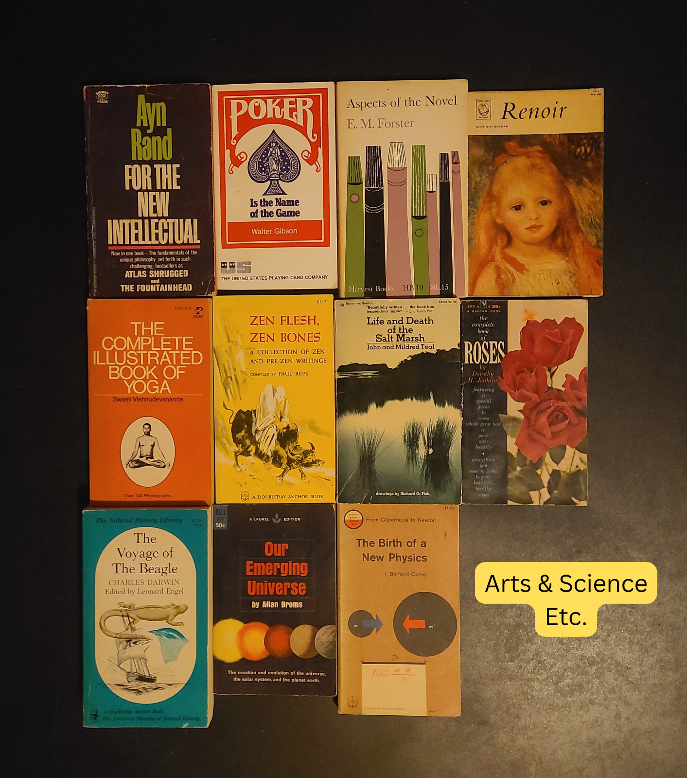 Vintage Paperbacks PICK YOUR OWN Set of 10 Classic Literature Steinbeck Austen