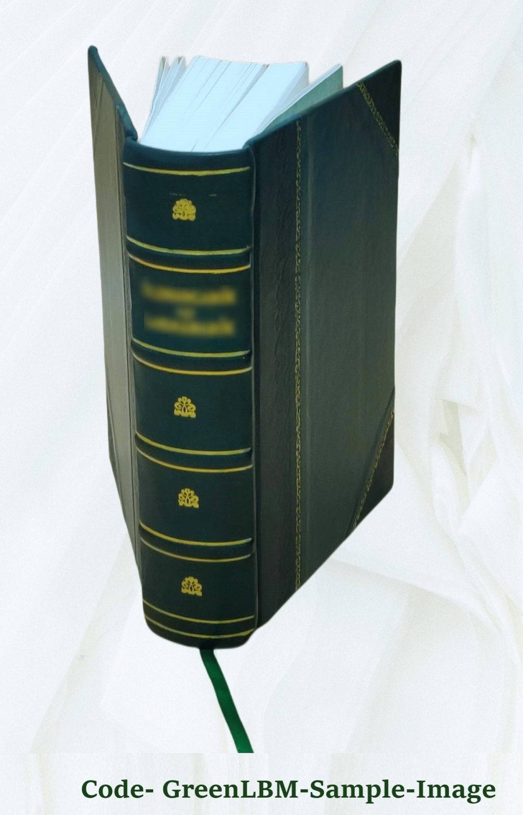 Encyclopaedia Of Superstitions Folklore And The Occult Sciences [Leather Bound]