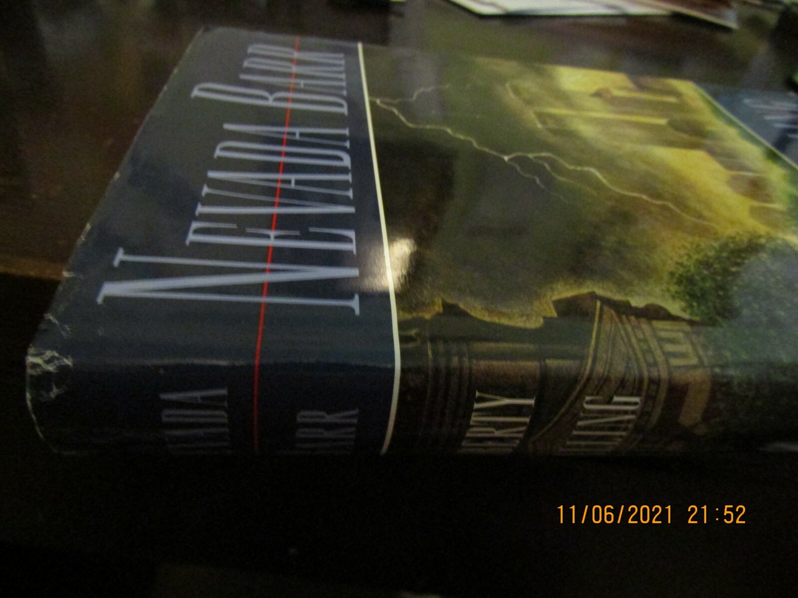 Liberty Falling by Nevada Barr (1999, Hardcover with Dust Jacket) 317 pages GUC