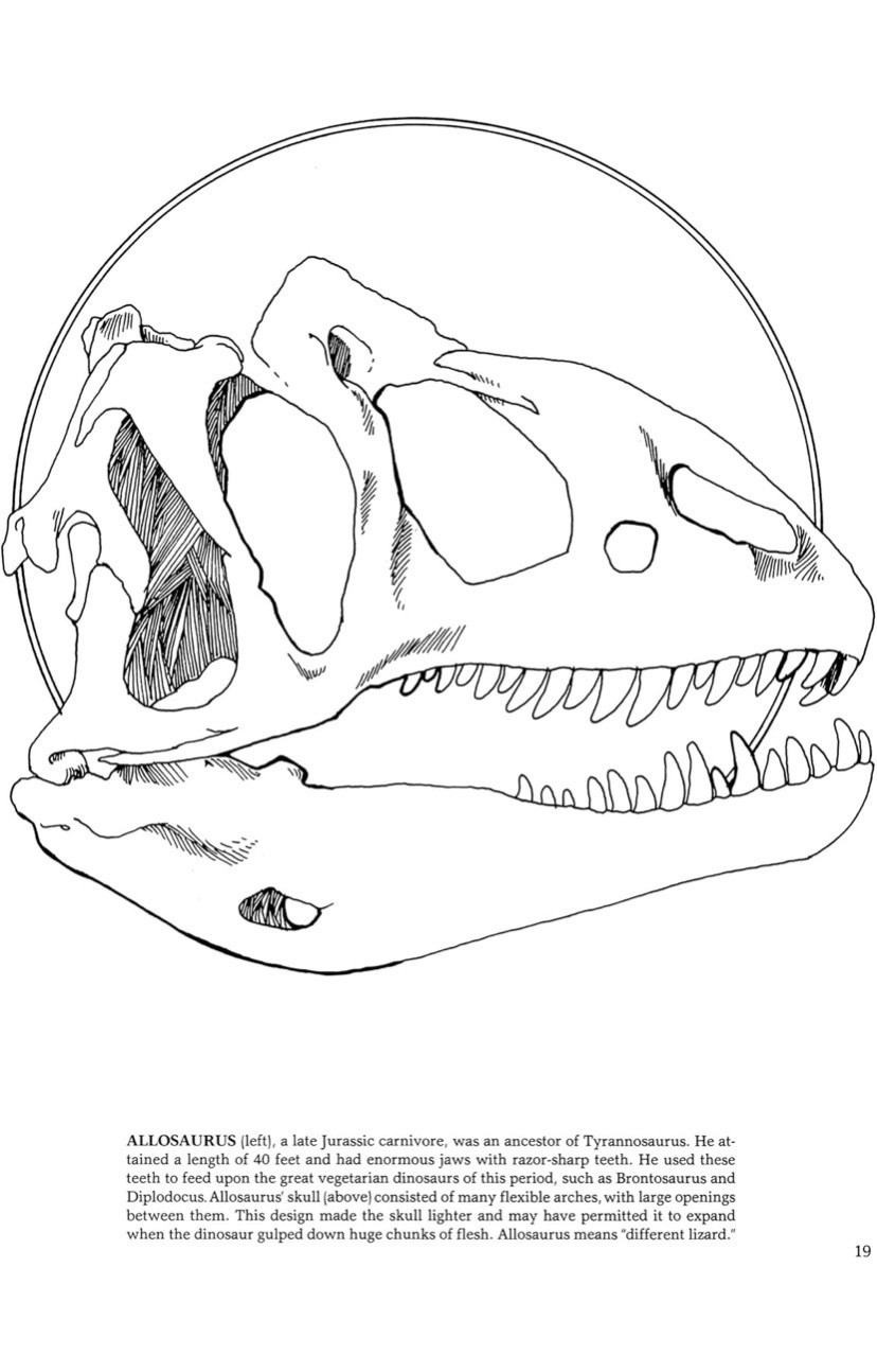 Jurassic World Scientifically Accurate Educational Dinosaur Coloring Book