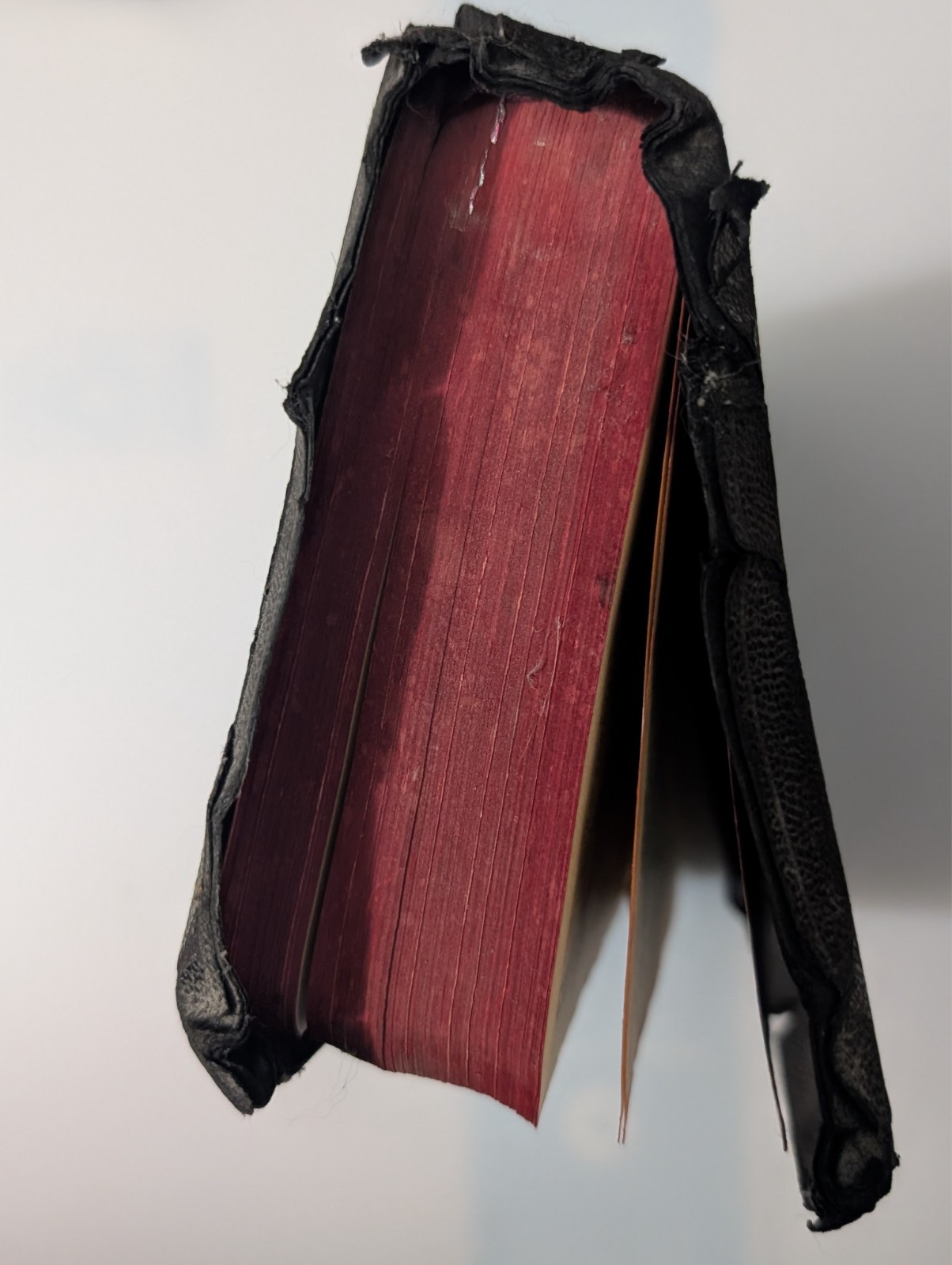Vintage Holy Bible Illustrated With the Words of Christ Printed in Red (1940’s)
