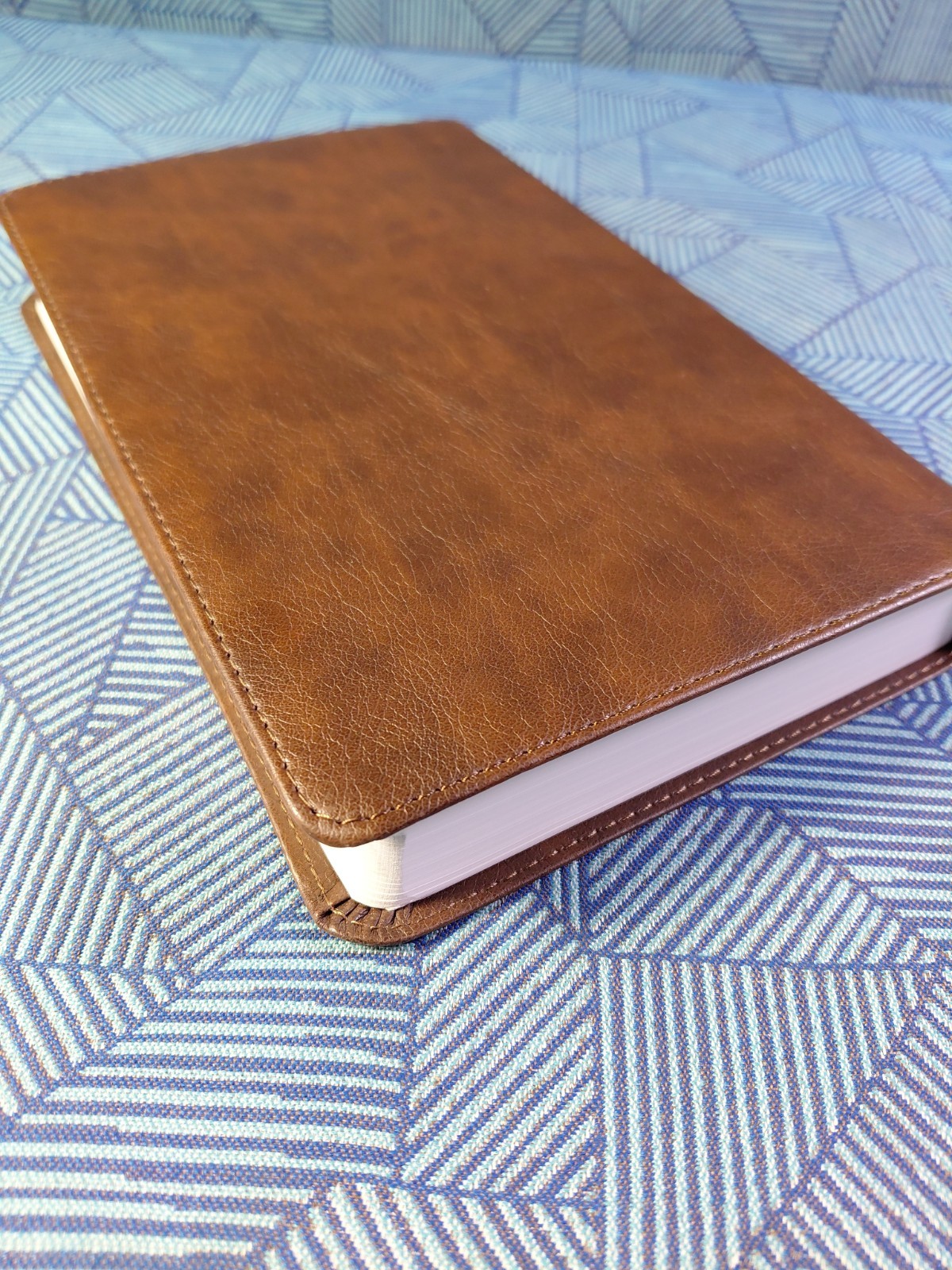 ESV Concise Study Bible (TruTone, Brown): Holy Bible, English Standard Versi…