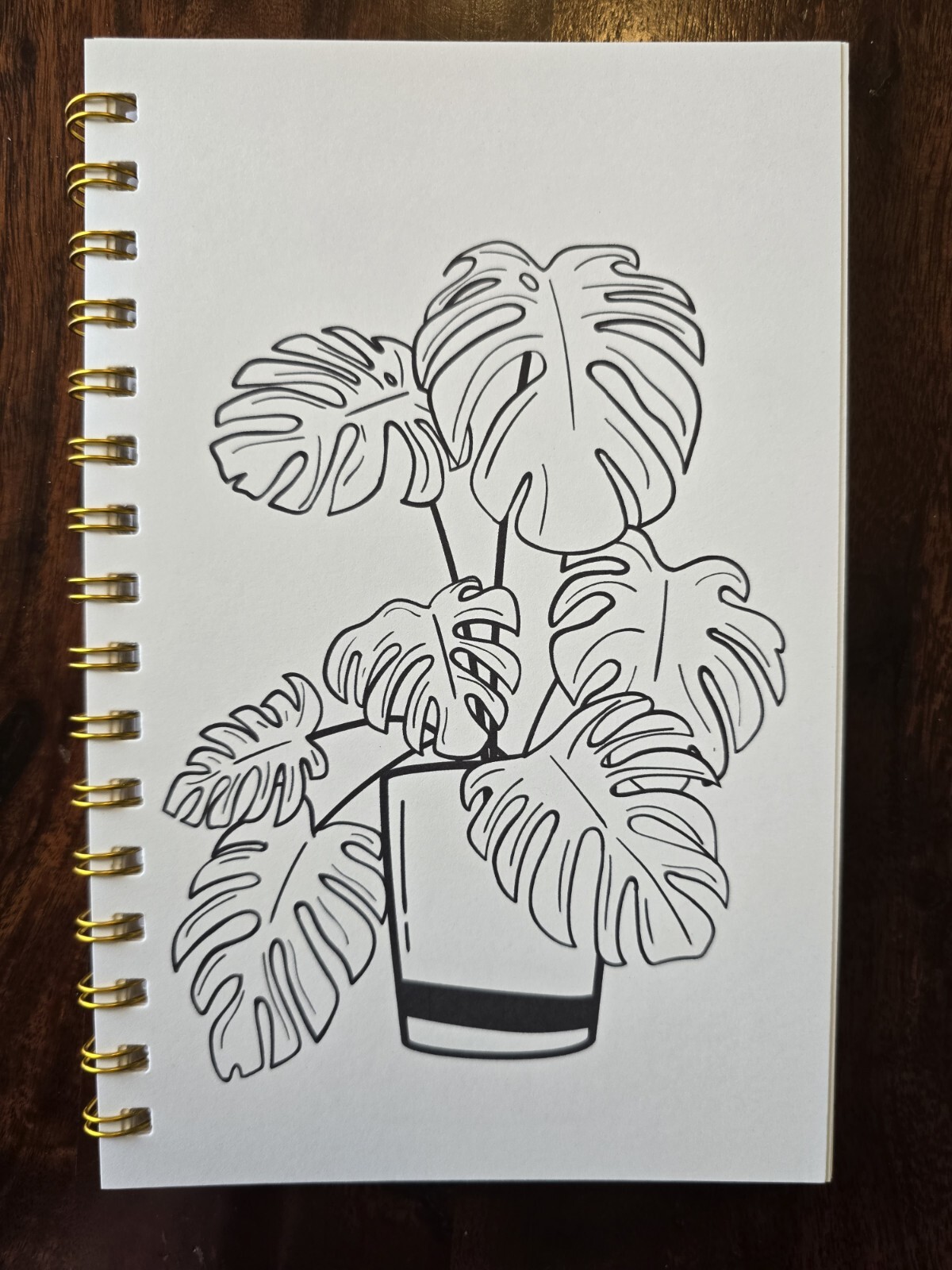 House Plants Coloring books for adults. A5 Size Coloring Book 8.5 in X 5.5 in.