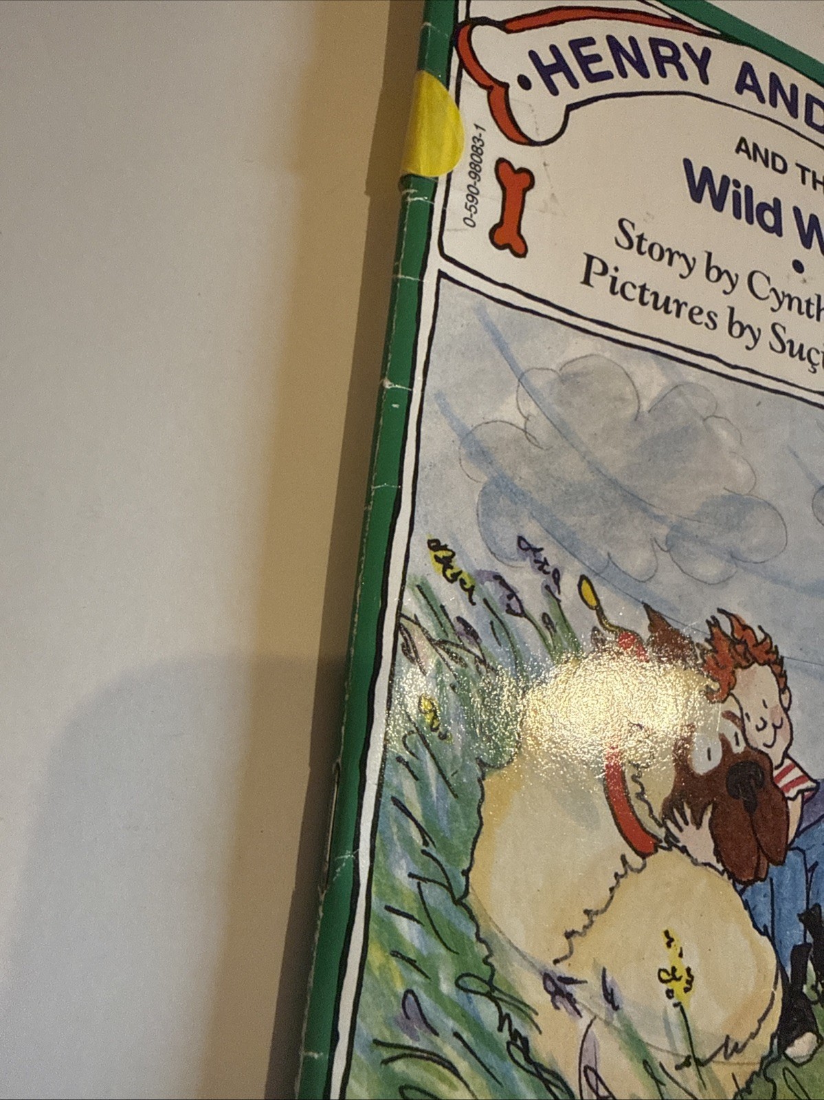Lot of 12 Henry And Mudge Books By Cynthia Rylant Collection Set + 2 Other Books