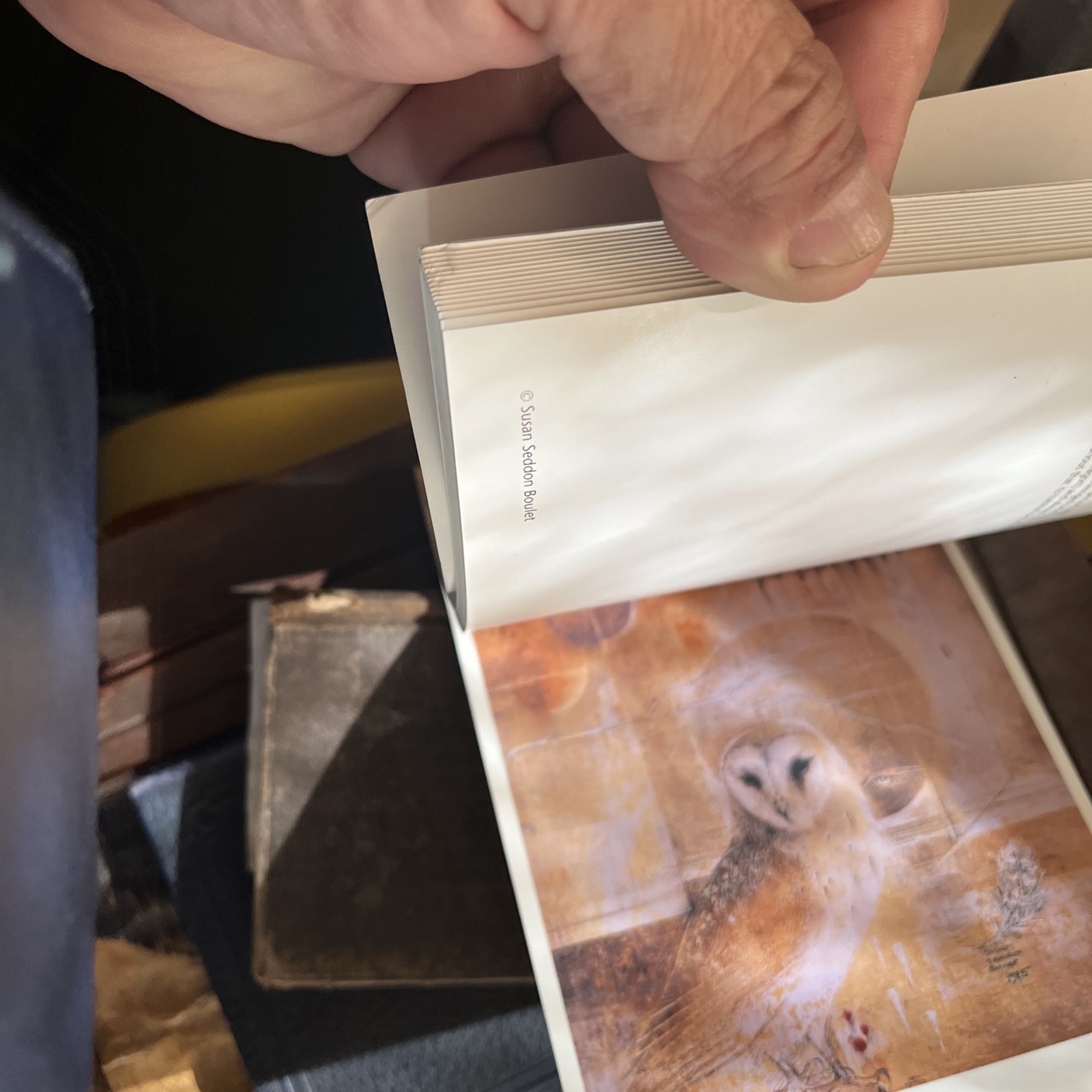 A SUSAN SEDDON BOULET BESTIARY: A BOOK OF POSTCARDS