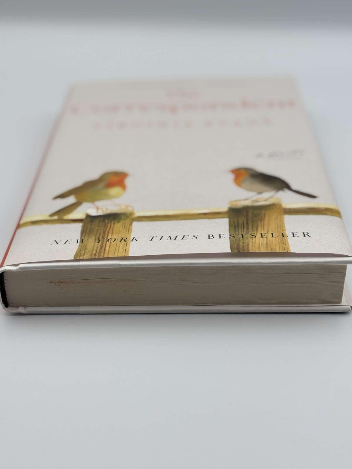 The Correspondent Virginia Evans Hardcover 2025 Crown NYT Bestseller