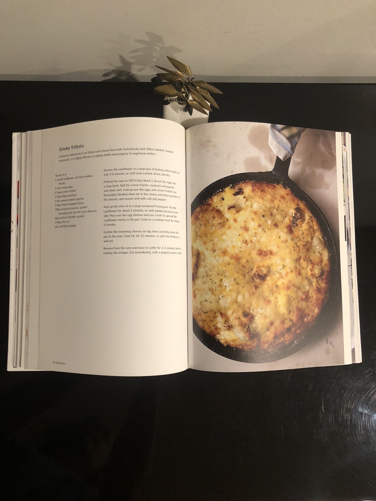 Yotam Ottolenghi Plenty Ebury Press 2010 First Ed. HC LN Cookbook