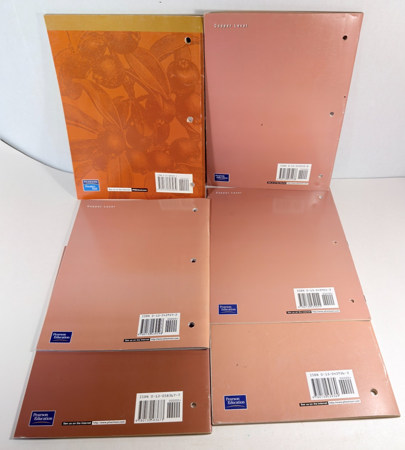 Prentice Hall Literature Copper Teacher Resources 6 Items 2000 0130439363 6th Gr
