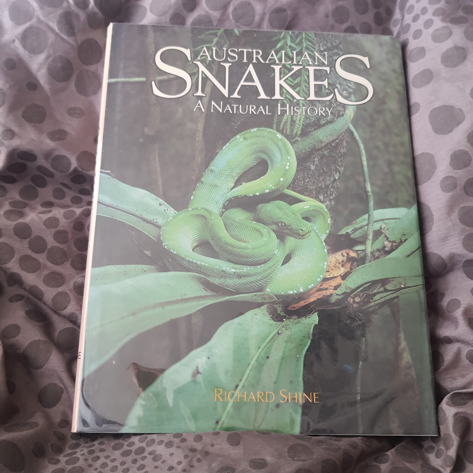 VTG AUSTRALIAN SNAKES: A NATURAL HISTORY Richard Shine Hardcover Dust Jacket VG