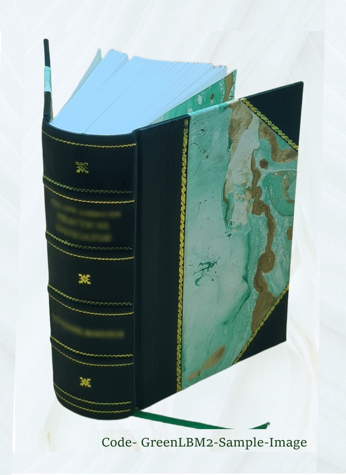 And Quiet Flows The Don; A Novel 1900 [Leather Bound]