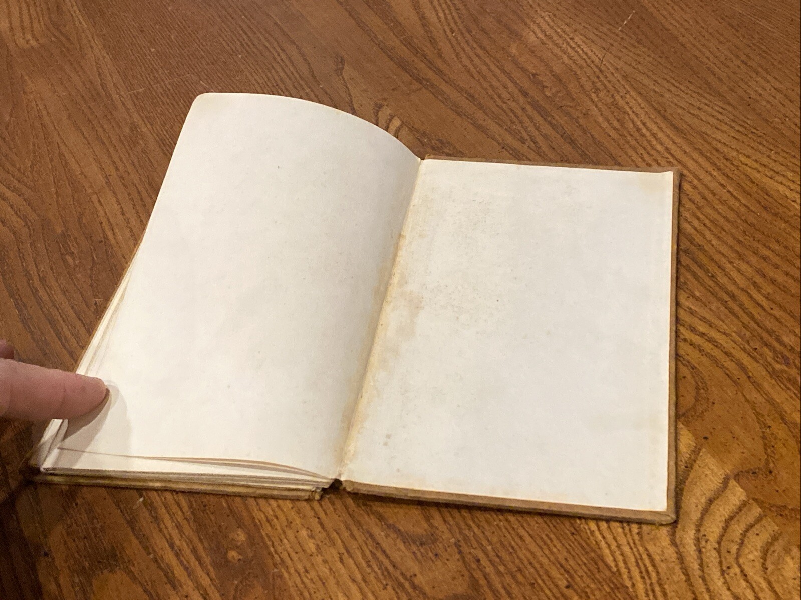 Antique RIP-VAN WINKLE BY WASHINGTON IRVIN HARD COVER BORSE & HOPKINS 47 Pages