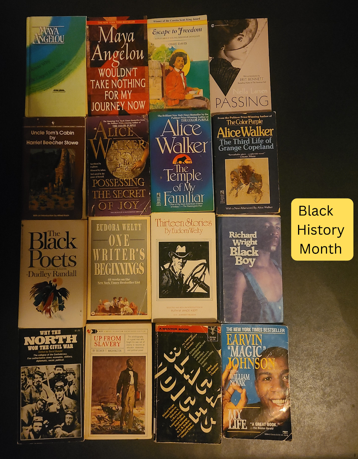 Vintage Paperbacks PICK YOUR OWN Set of 10 Classic Literature Steinbeck Austen
