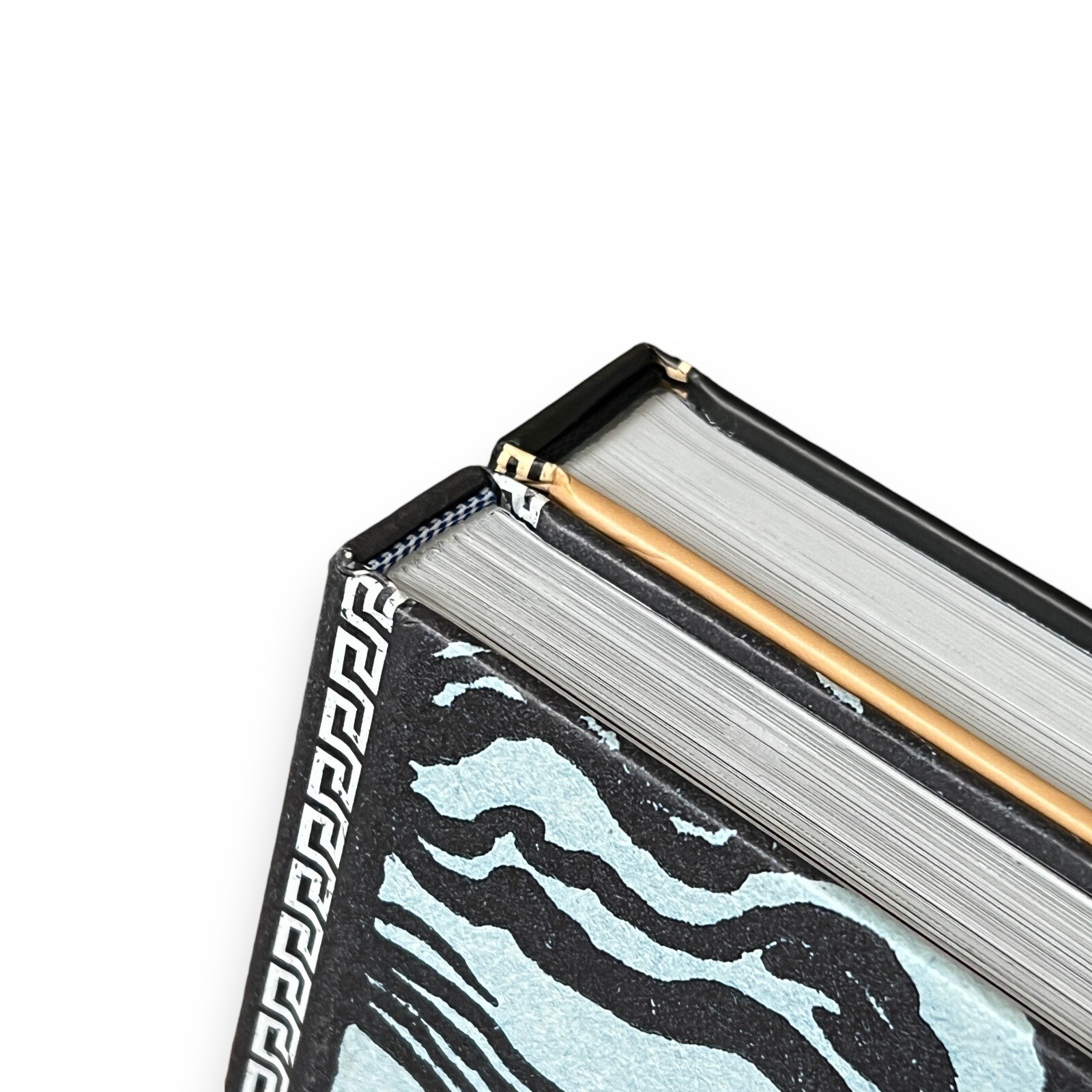 2-Book Set: THE ILLUSTRATED ILIAD & ODYSSEY by Homer Hardcover Deluxe Classics