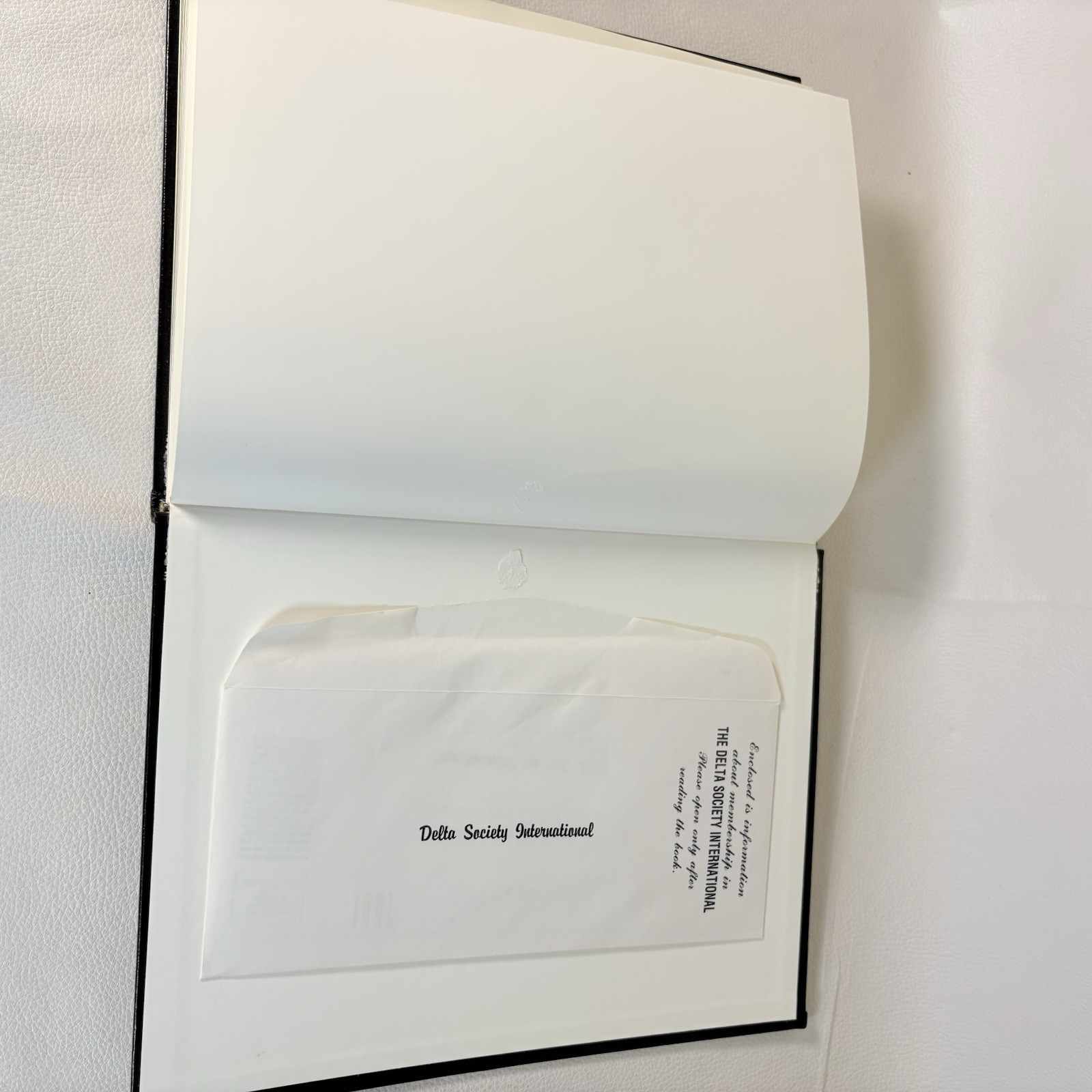 1991 THE DELTA PHENOMENON Investing Hidden Order Stock Market Book -1980s Charts