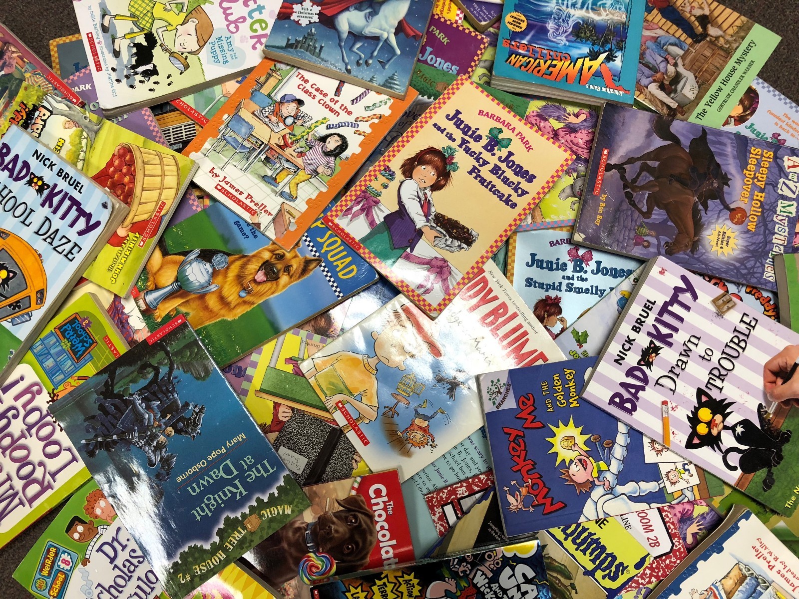 Lot of 30 kids young instant library chapter books bundle paperback – GOOD