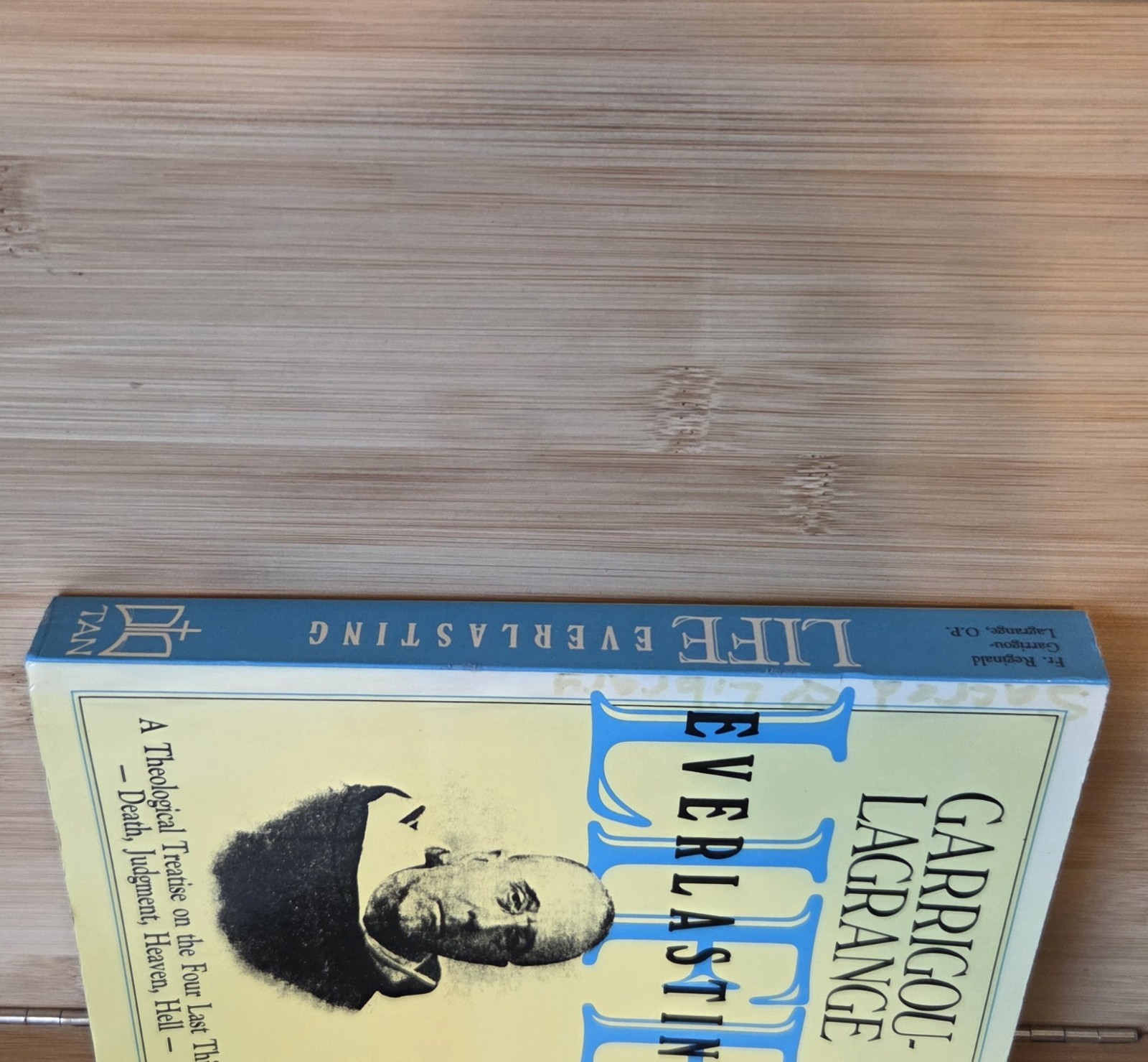 Life Everlasting and the Immensity of the Soul: A Theological Treatise