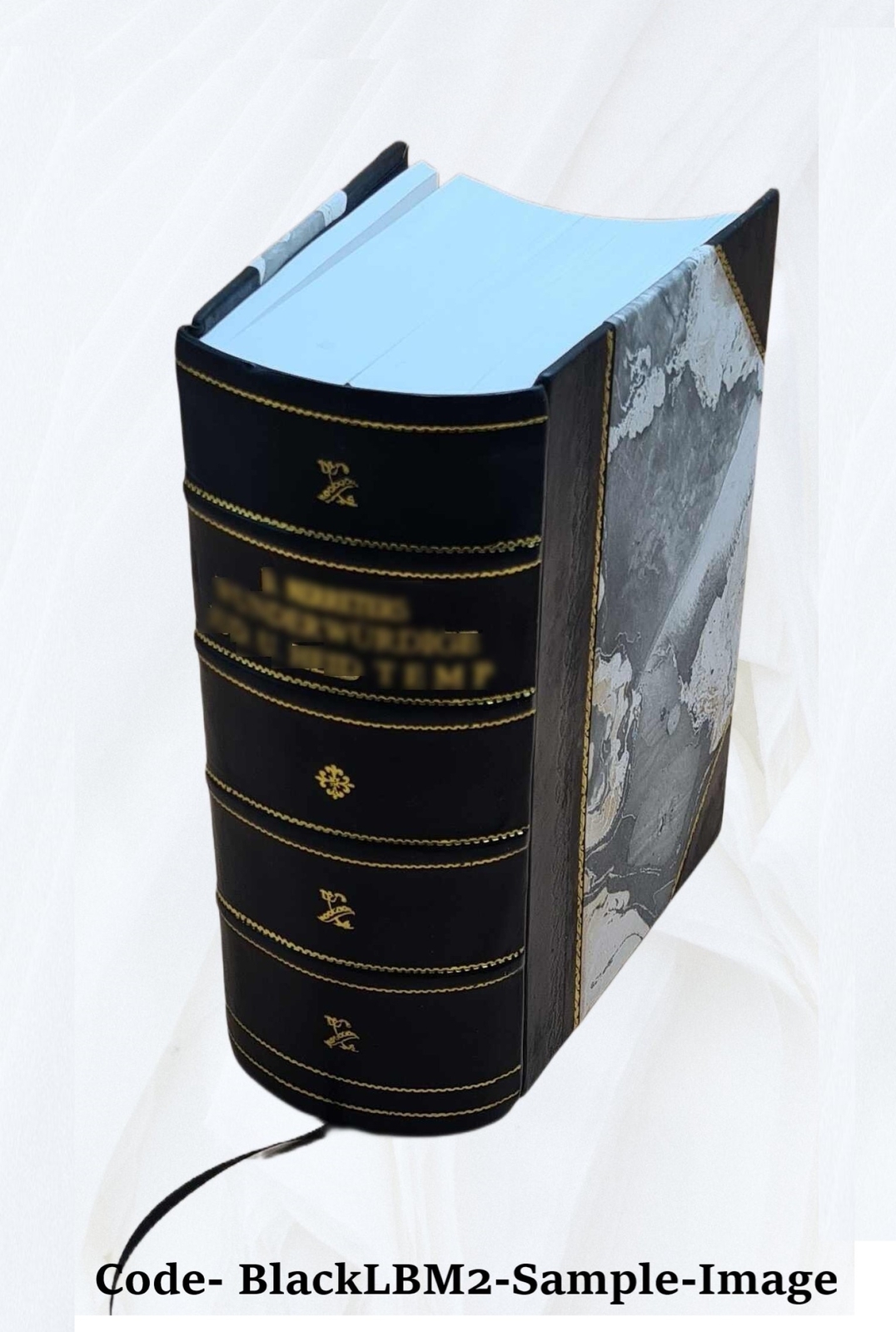 Encyclopaedia Of Superstitions Folklore And The Occult Sciences [Leather Bound]