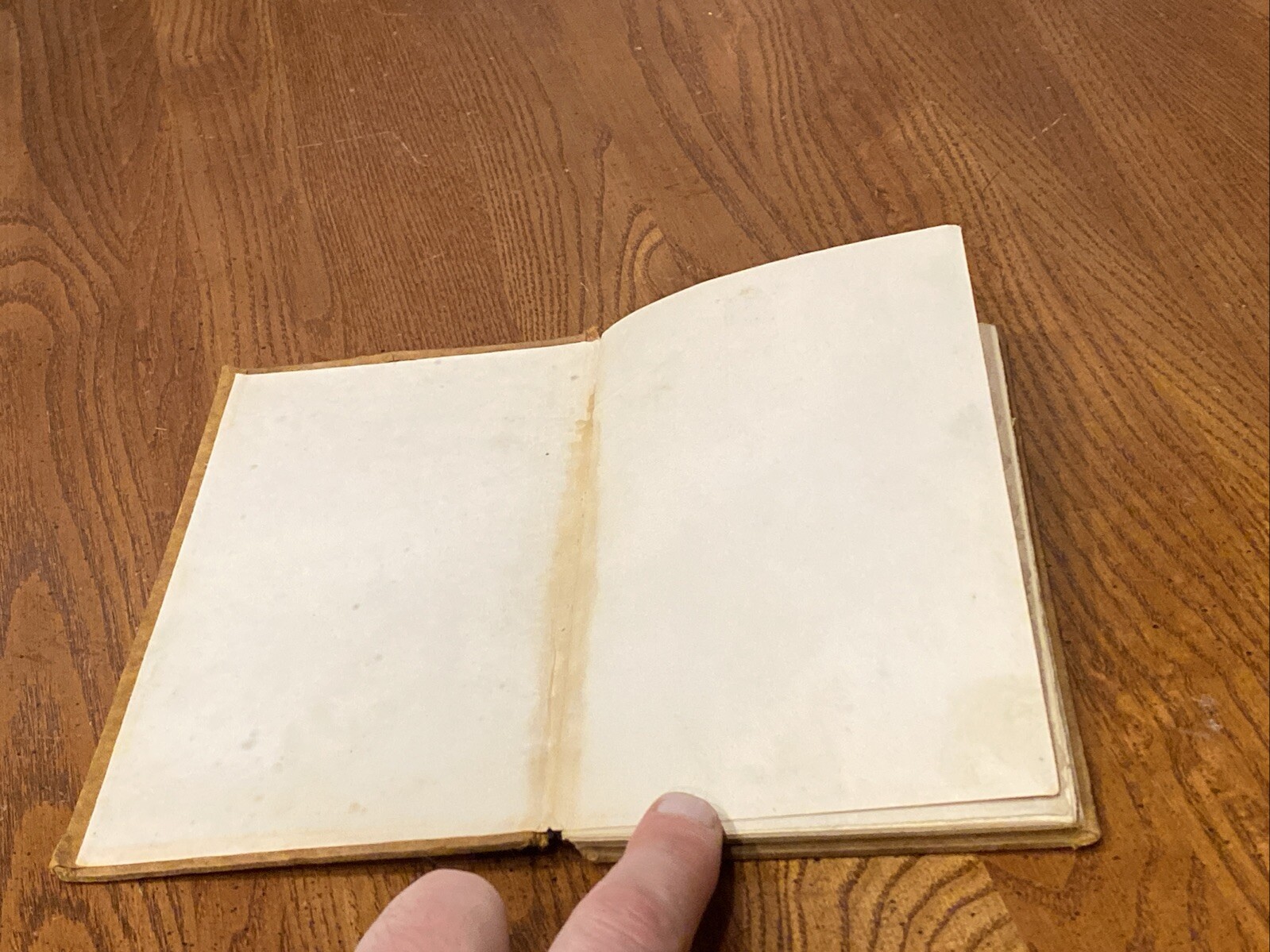 Antique RIP-VAN WINKLE BY WASHINGTON IRVIN HARD COVER BORSE & HOPKINS 47 Pages