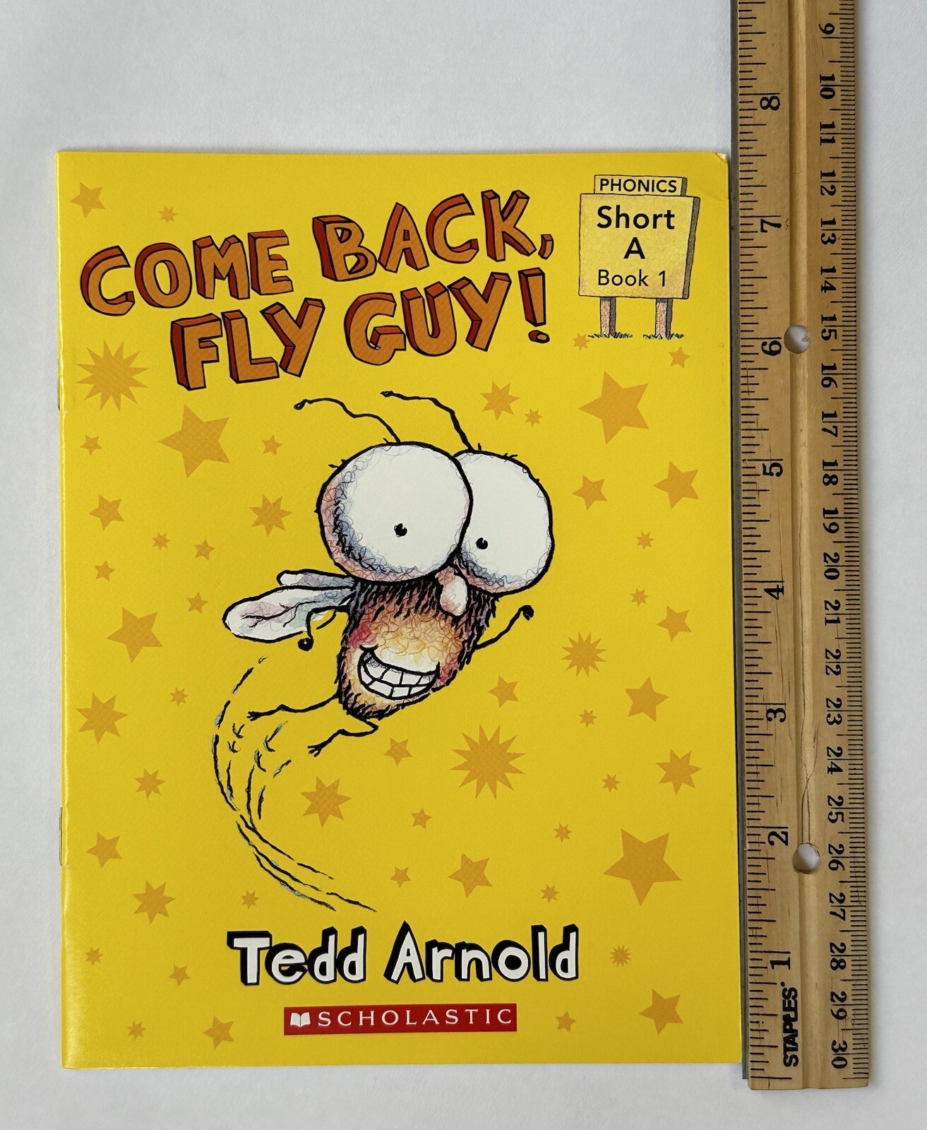 Fly Guy Phonics Children’s Books Beginning Readers Lot 12