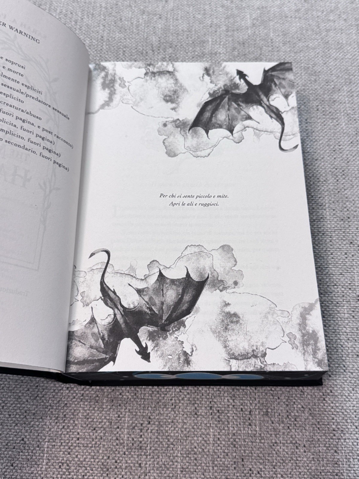 When The Moon Hatched Sarah A Parker Special Edition Sprayed Edge Italian Ed