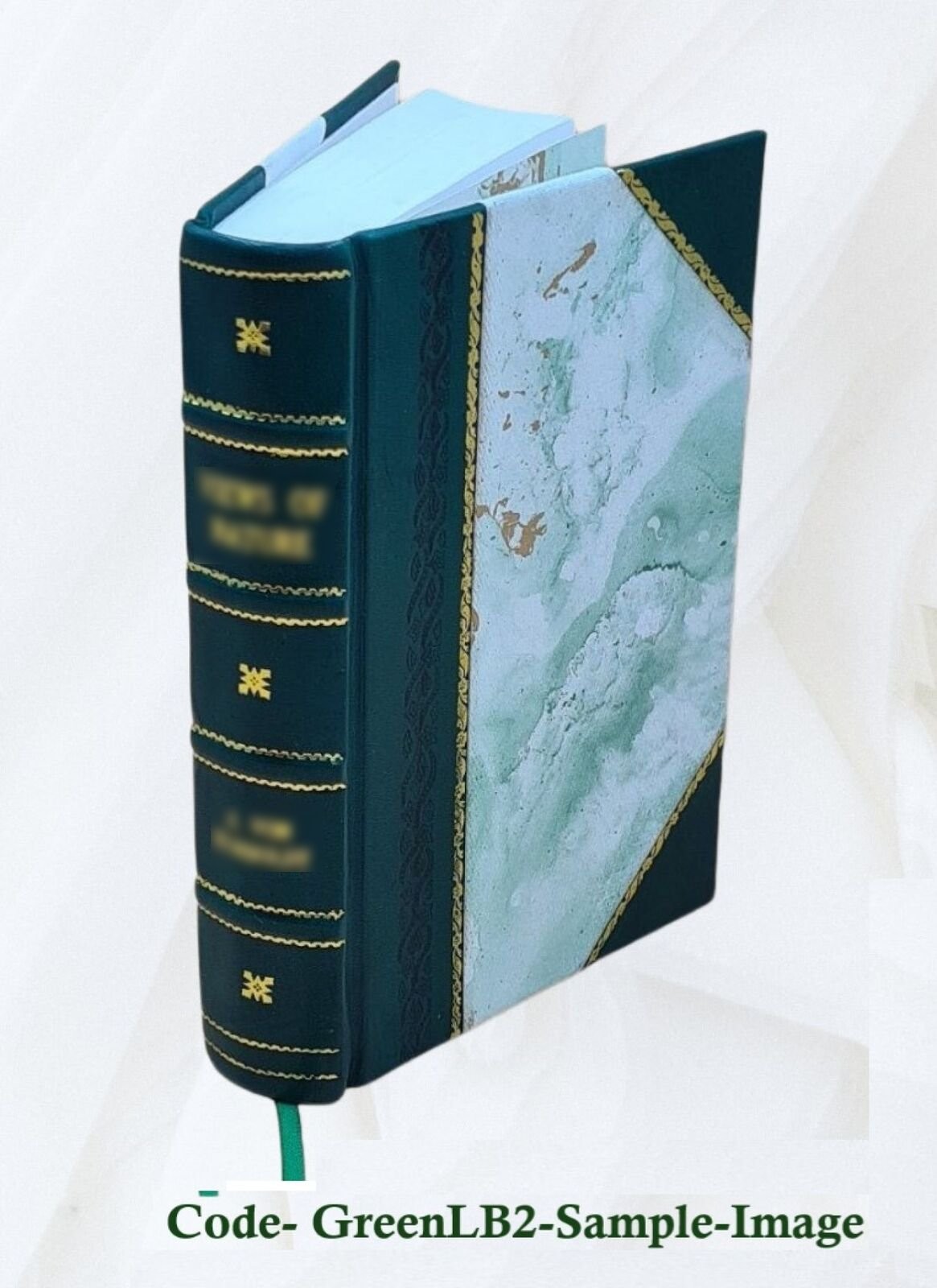 Electrical times 1902 [Leather Bound]