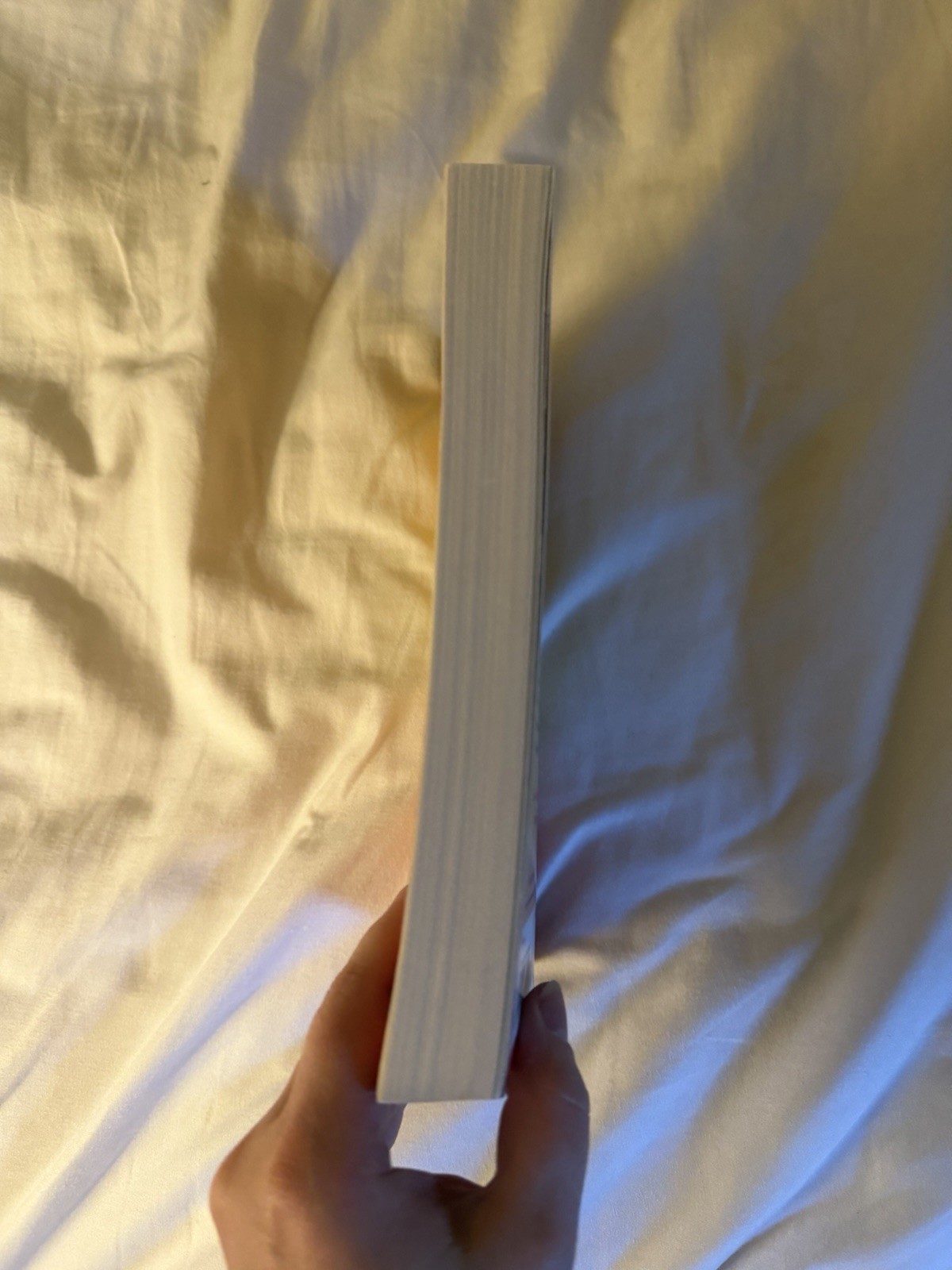 This Summer Will Be Different Carley Fortune Paperback