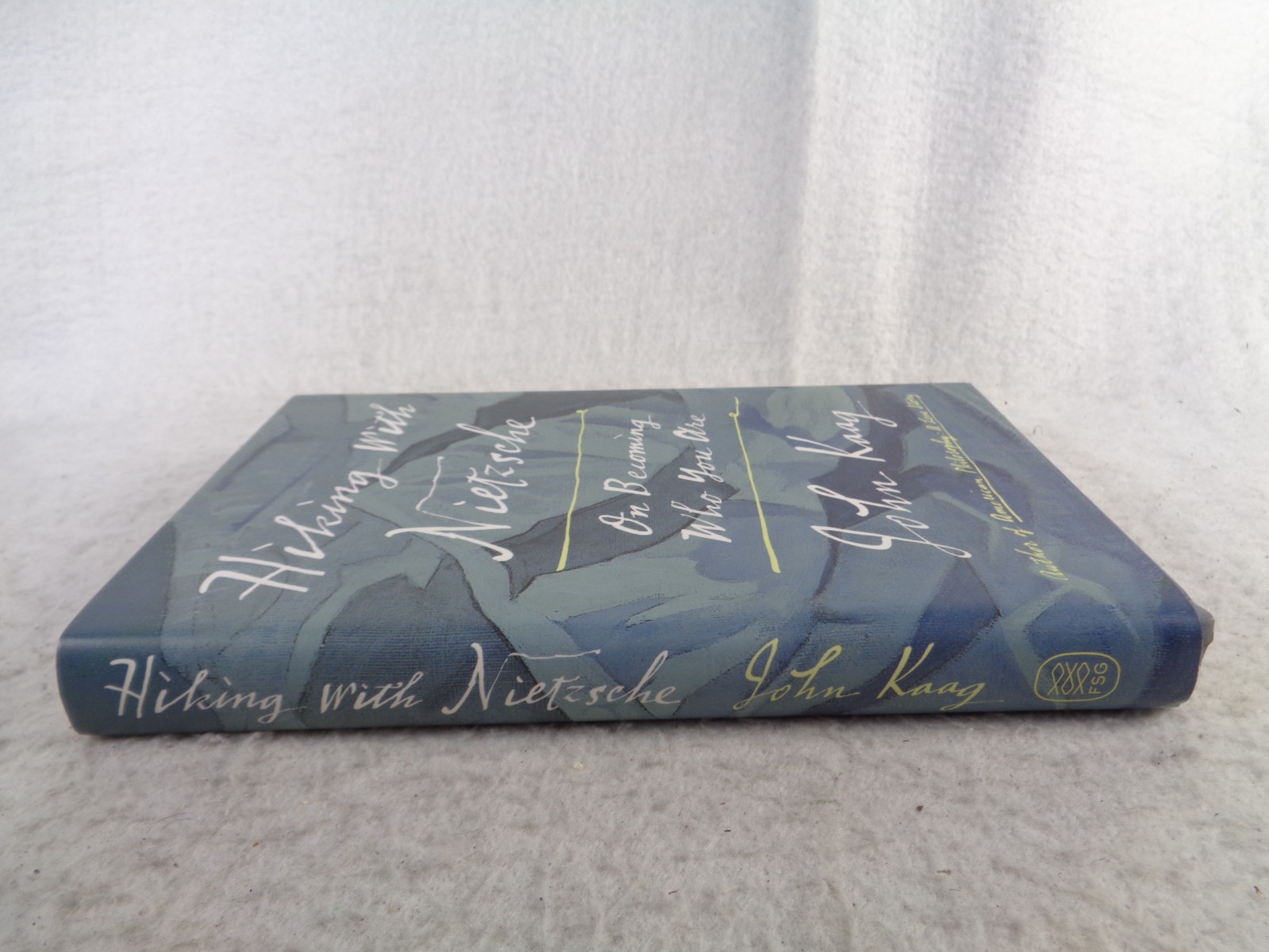 Hiking with Nietzsche On Becoming Who You Are John Kaag HC DJ 1st Ed 2018 Book