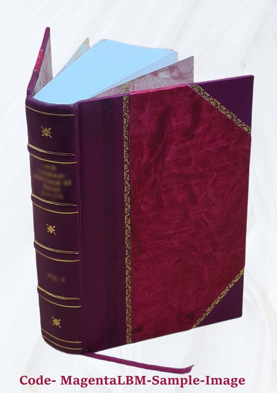 The Conan Stories By Robert E. Howard [Leather Bound]