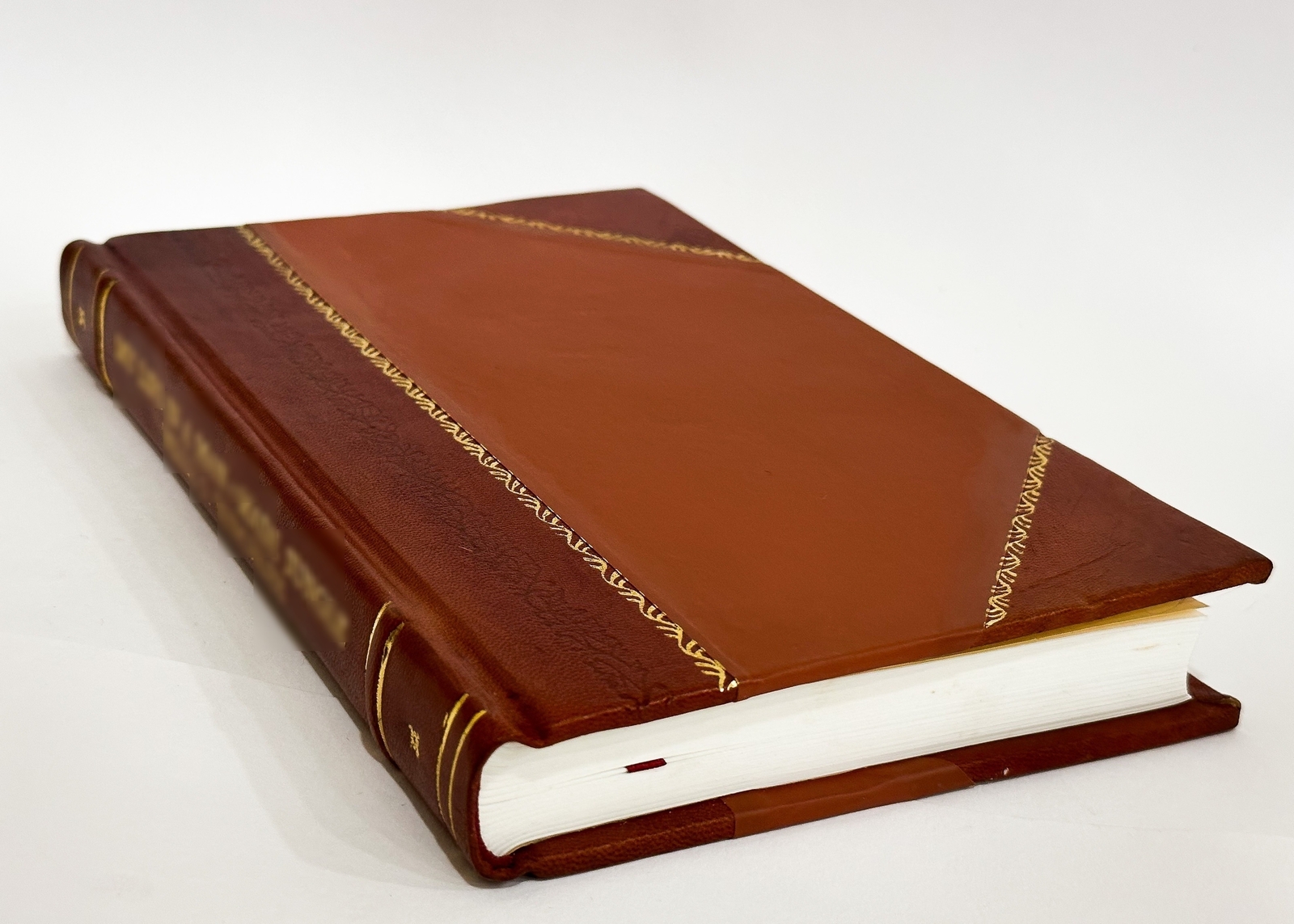 Andrew Thompson, the Emigrant of Elsinborough, Salem County, [Leather Bound]
