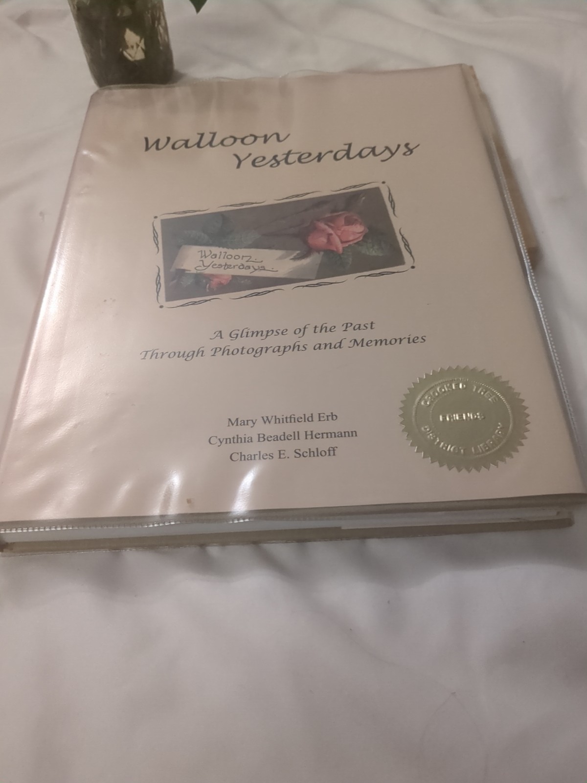 Walloon Yesterdays 2003 MULTI-SIGNED by Authors Erb Hermann Schloff Michigan HC