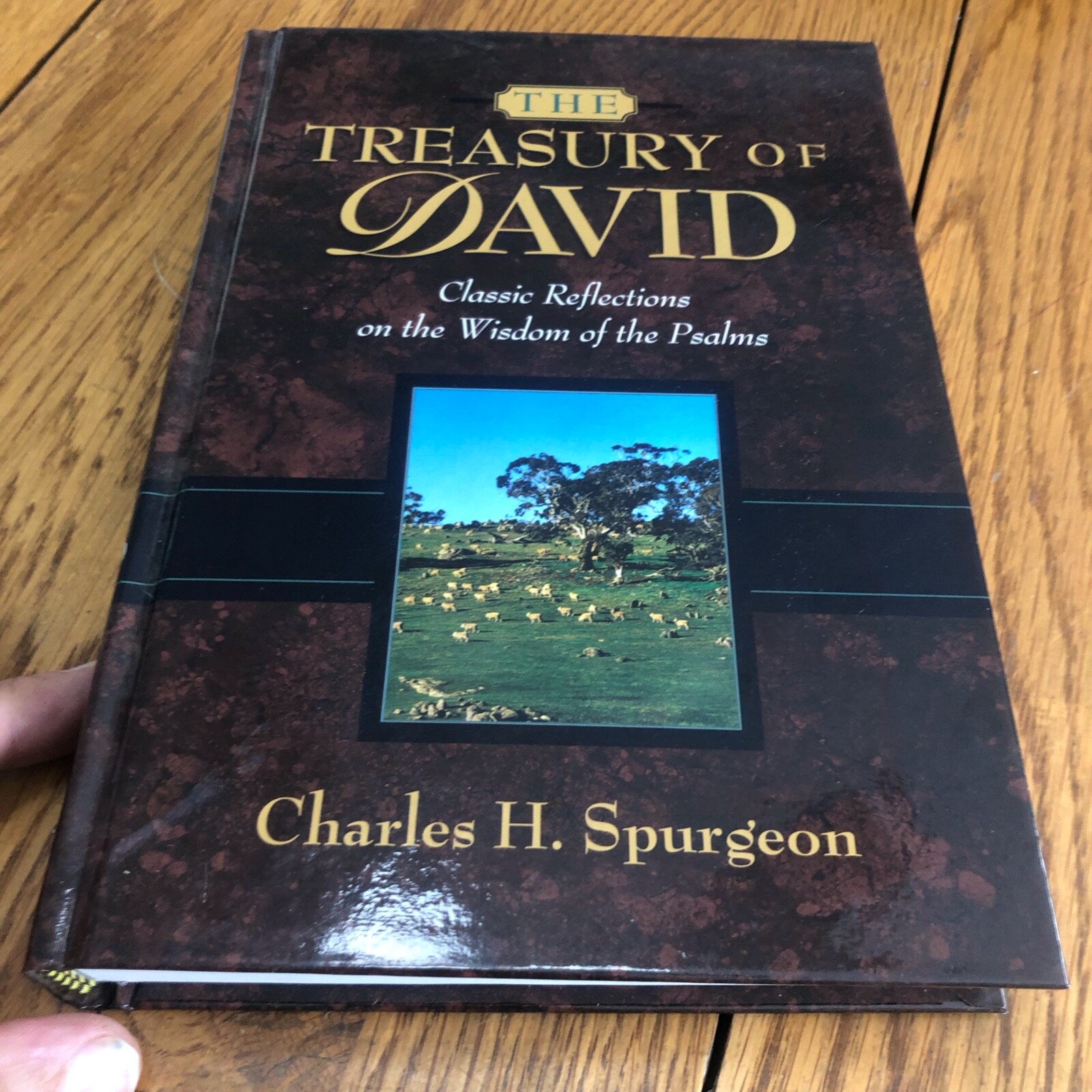 Treasury of David: Wisdom Of The Psalms: Volume 2-3, Charles Spurgeon, 1990 HC