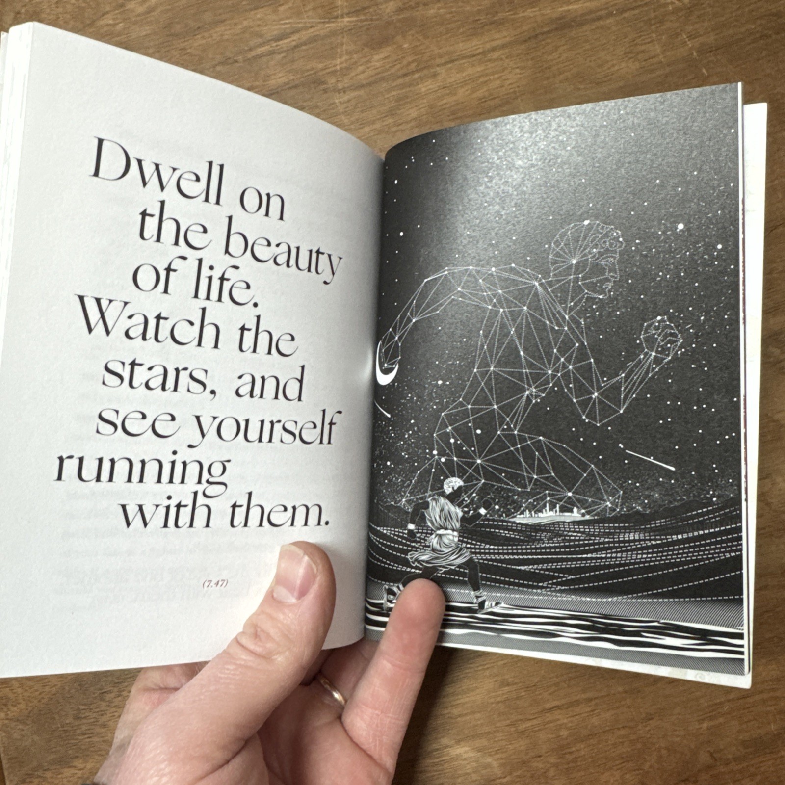 The Meditations of Marcus Aurelius, Illustrated