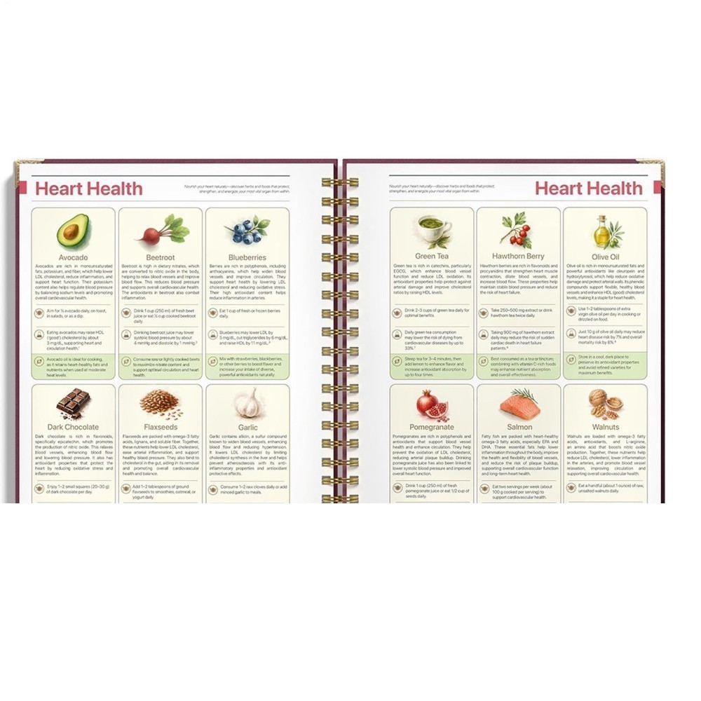 The Natural Healing Handbook, Spiral-Bound Guide For Herbal Remedies And Natural