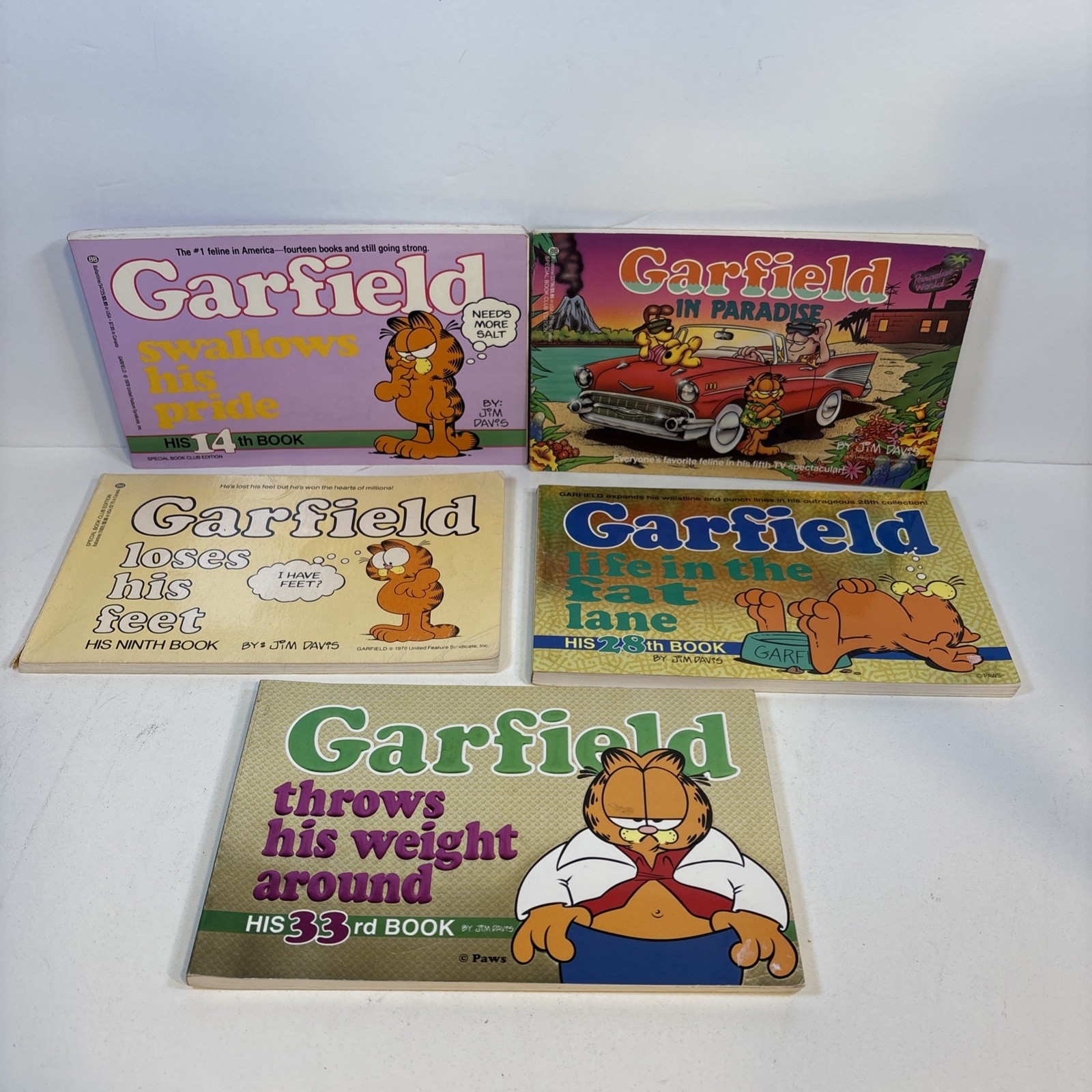 Vintage Garfield Fat Cat 3 Pack Book Lot 18 Jim Davis 1980s 1990’s early 2000s