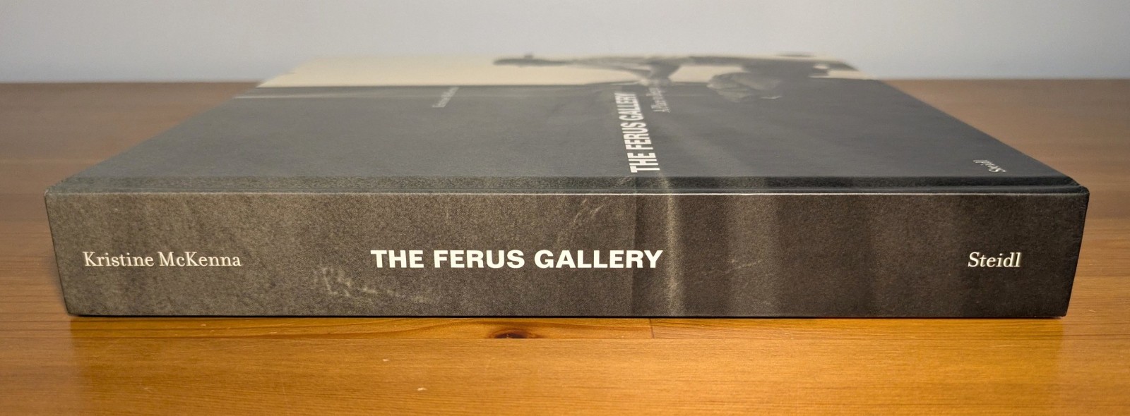 Kristine McKenna: The Ferus Gallery, A Place to Begin 1st Steidl 2009 NF art