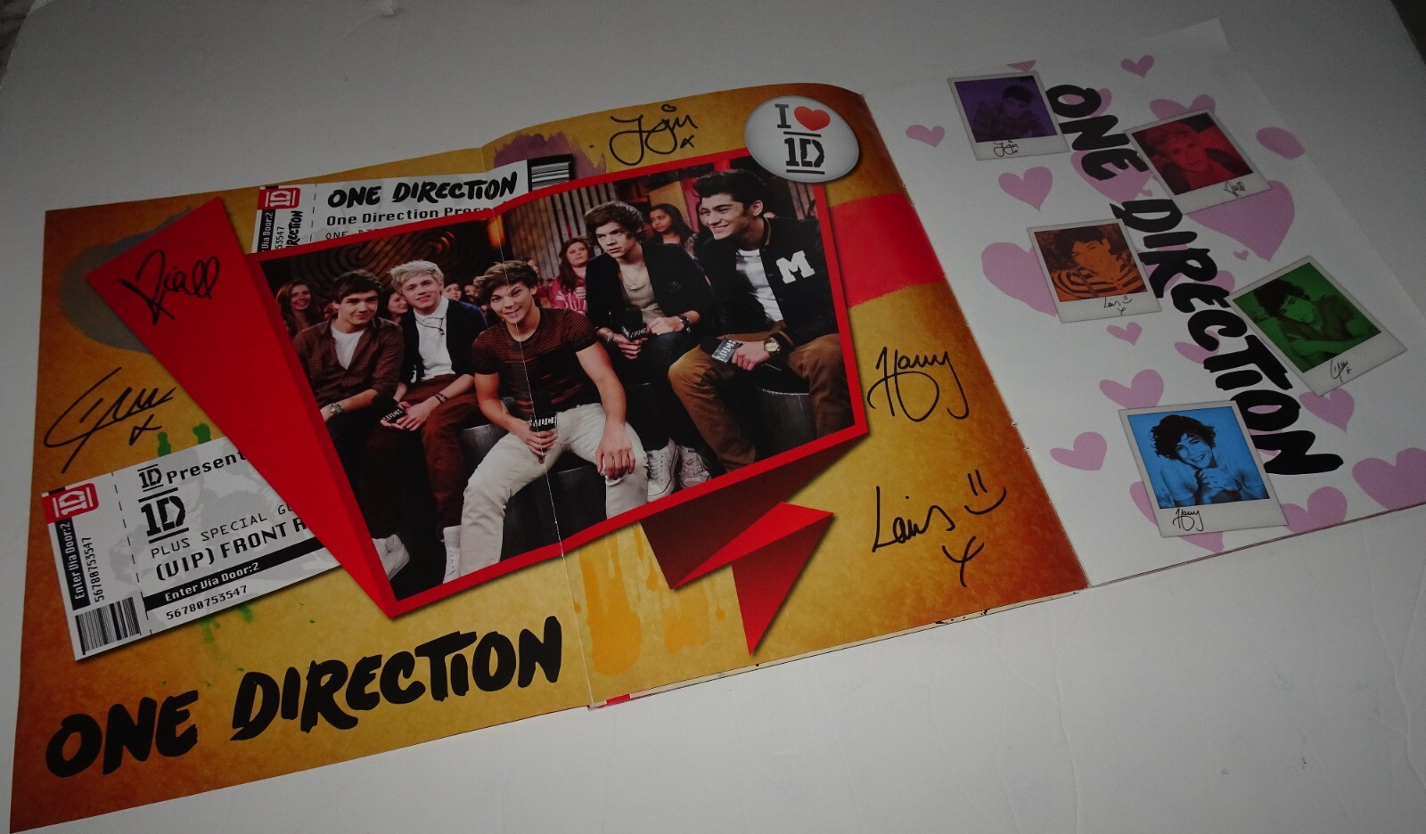 The Official One Direction Special Tour Edition Poster Book LIAM PAYNE R.I.P